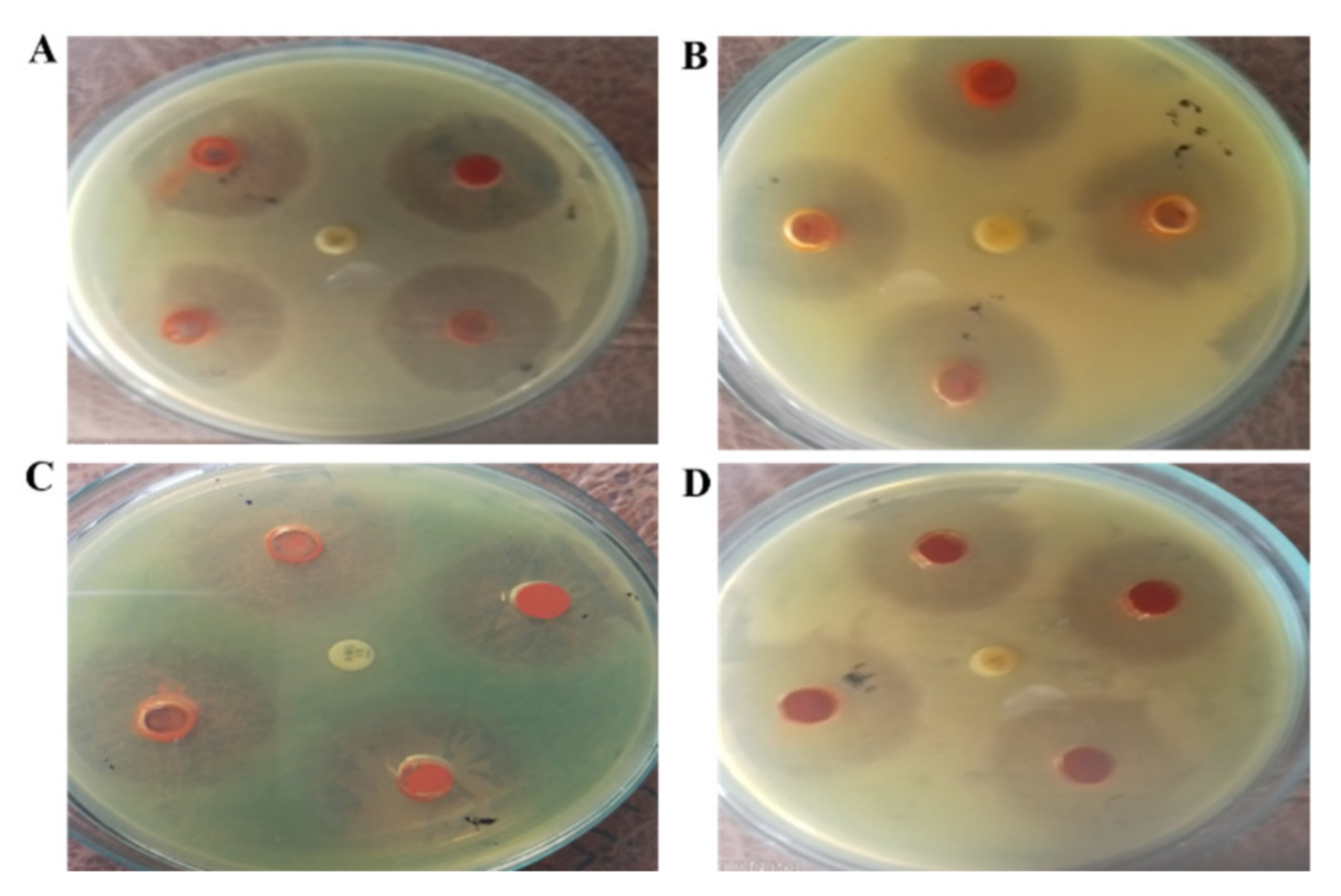 Catalysts 11 00780 g005