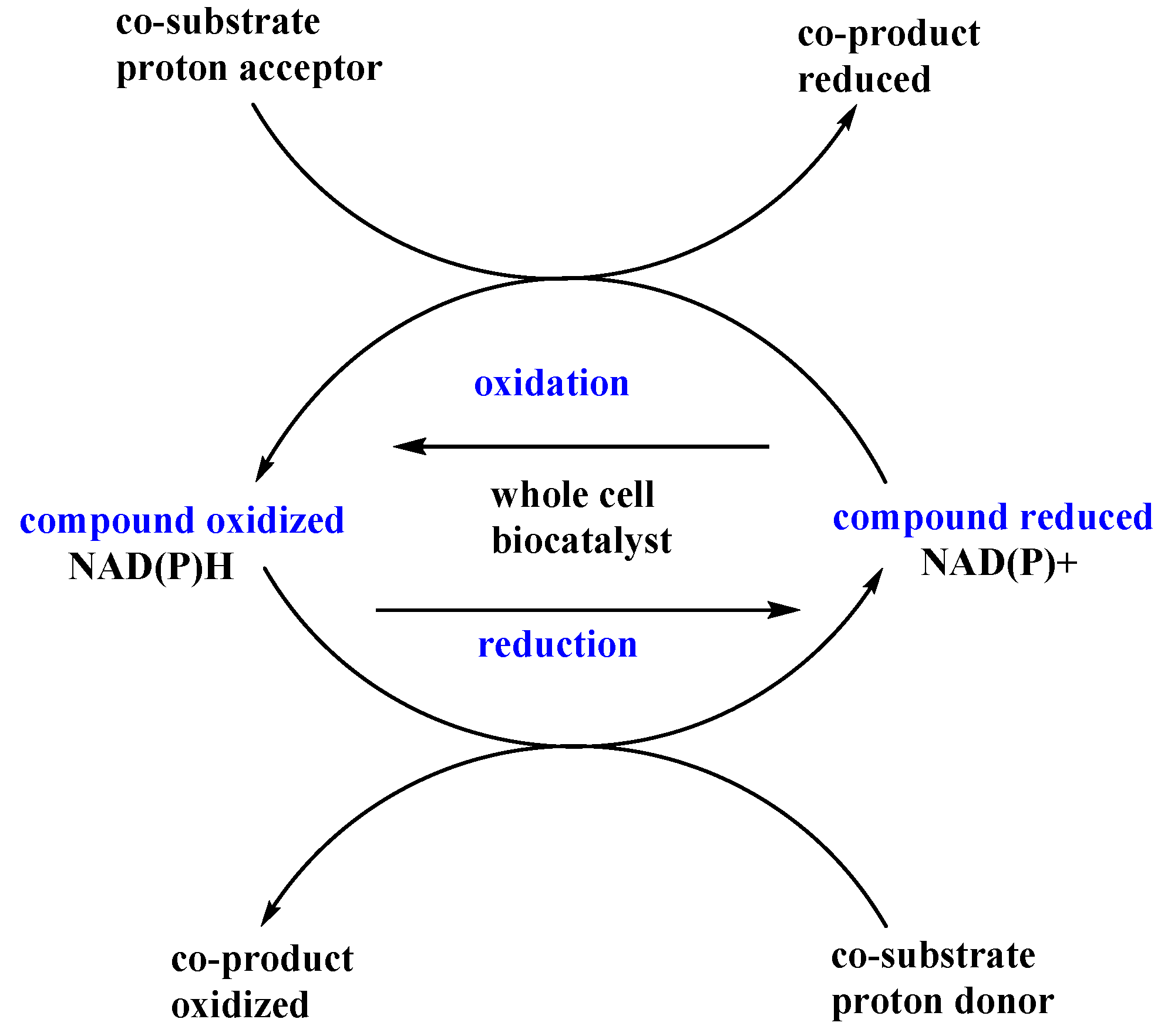 Catalysts 11 00781 g007