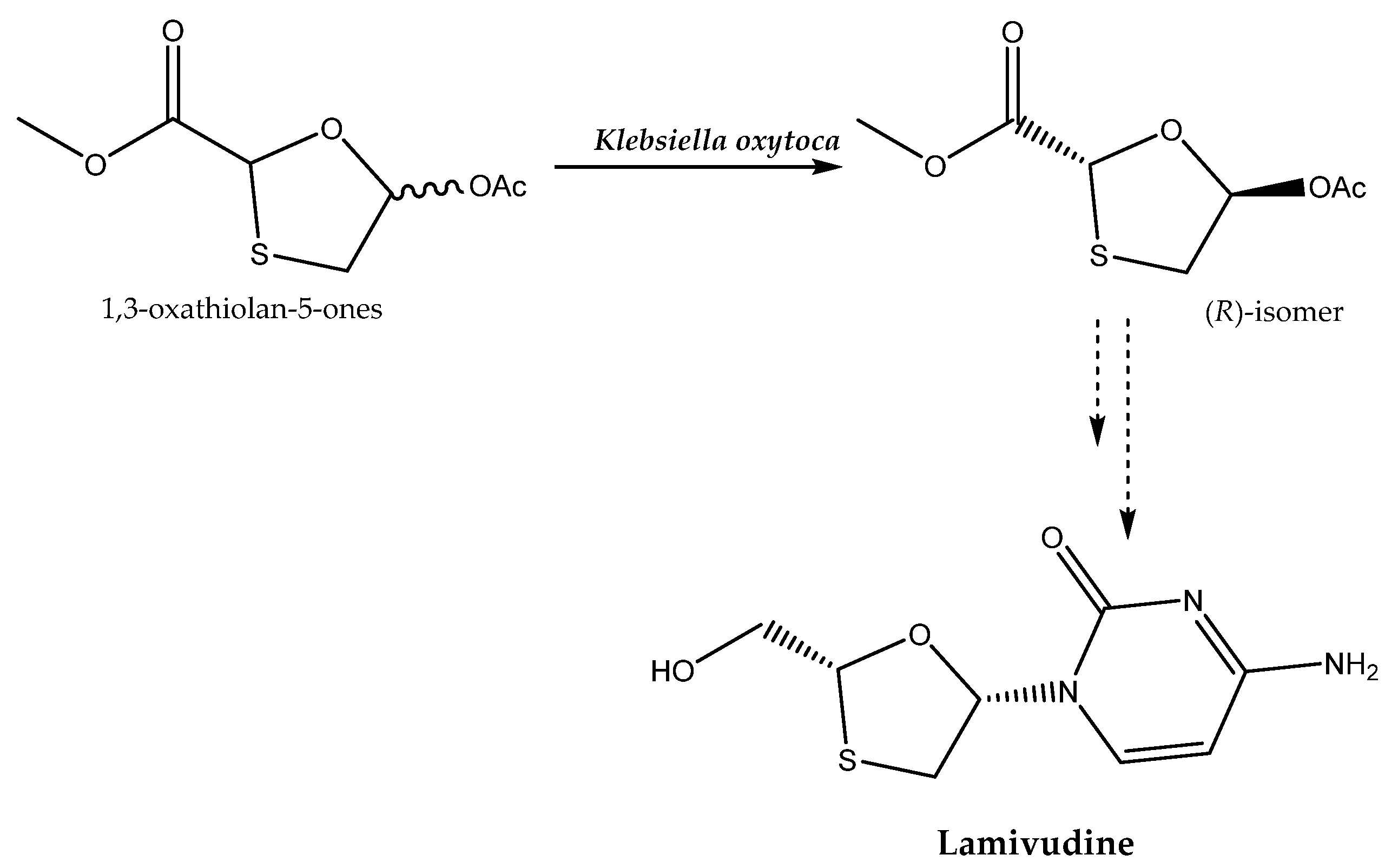 Catalysts 11 00781 sch004