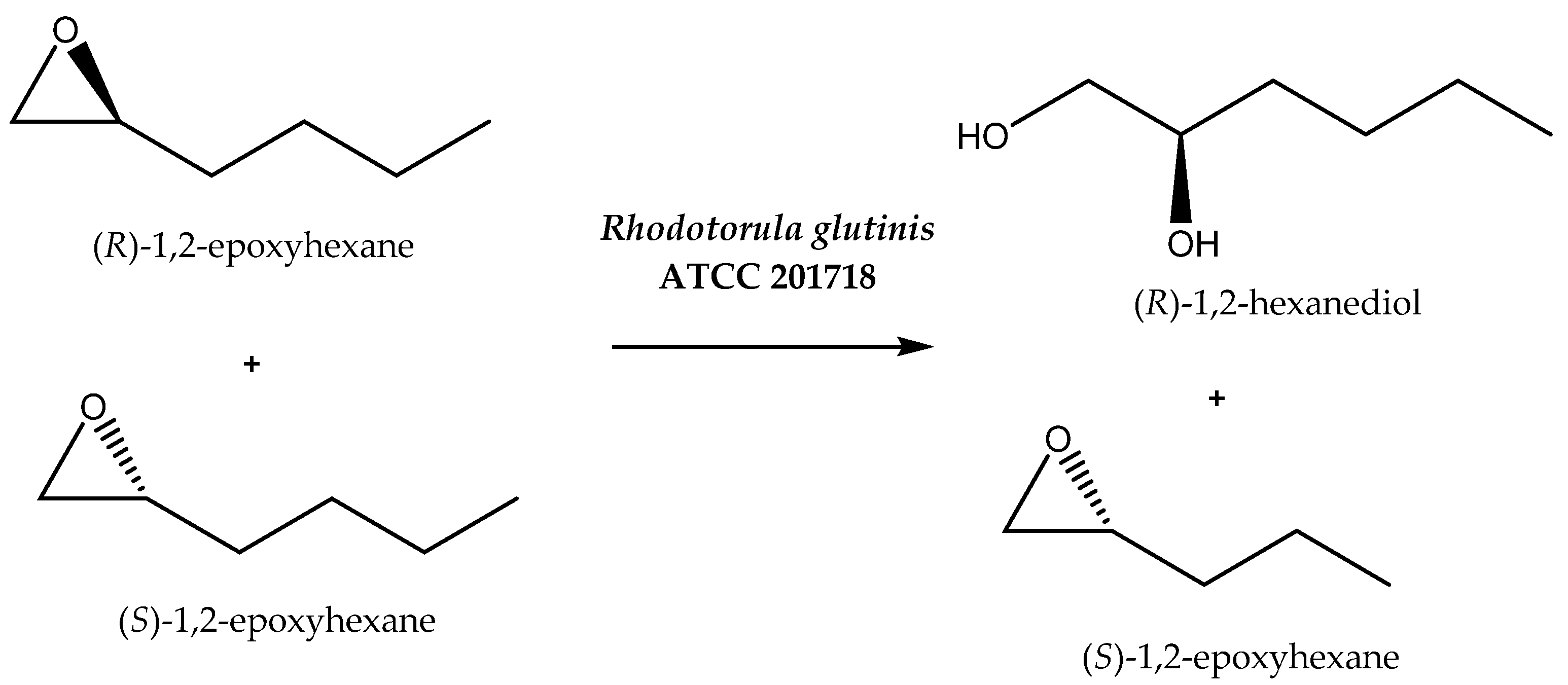 Catalysts 11 00781 sch005