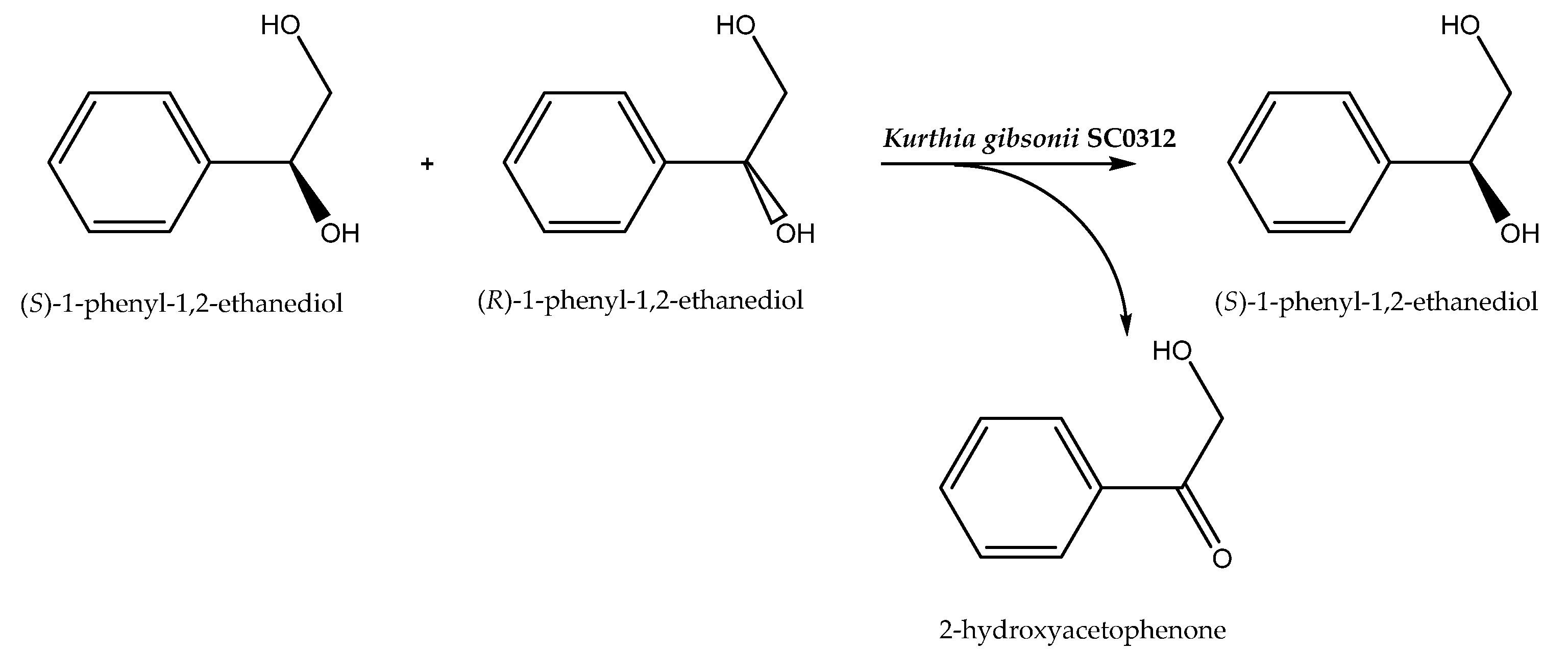 Catalysts 11 00781 sch006