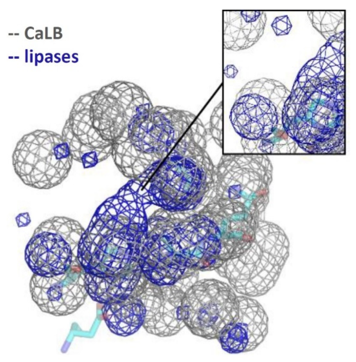 Catalysts 11 00784 g006 550