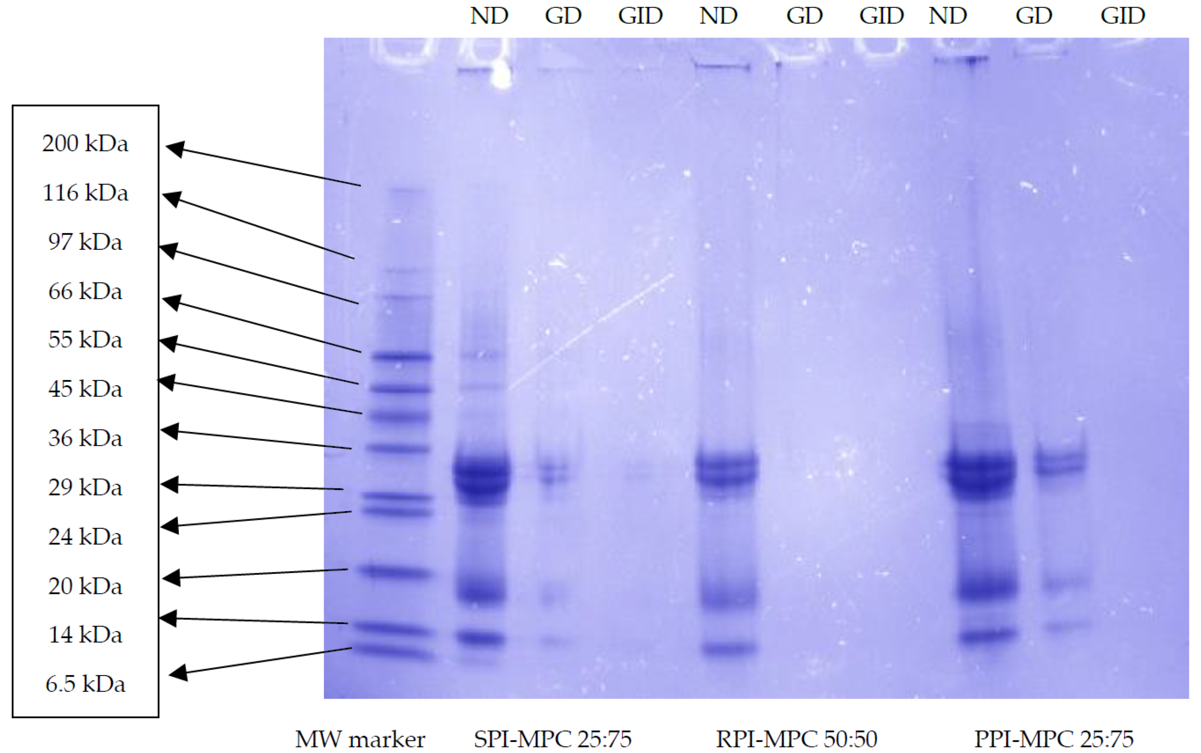 Catalysts 11 00787 g002 550
