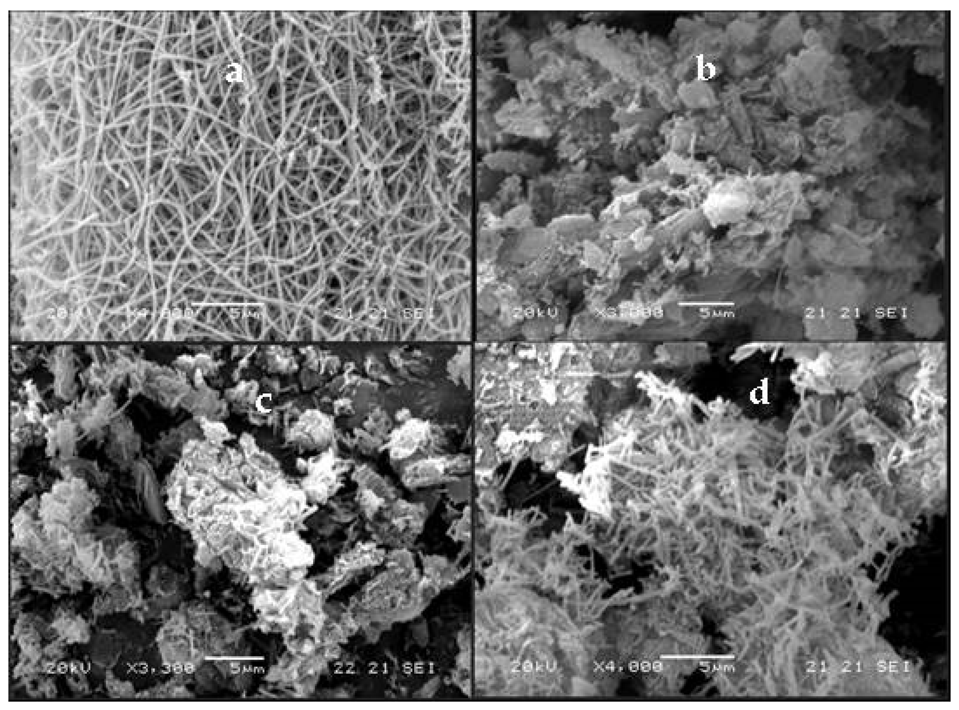 Catalysts 11 00792 g003 550