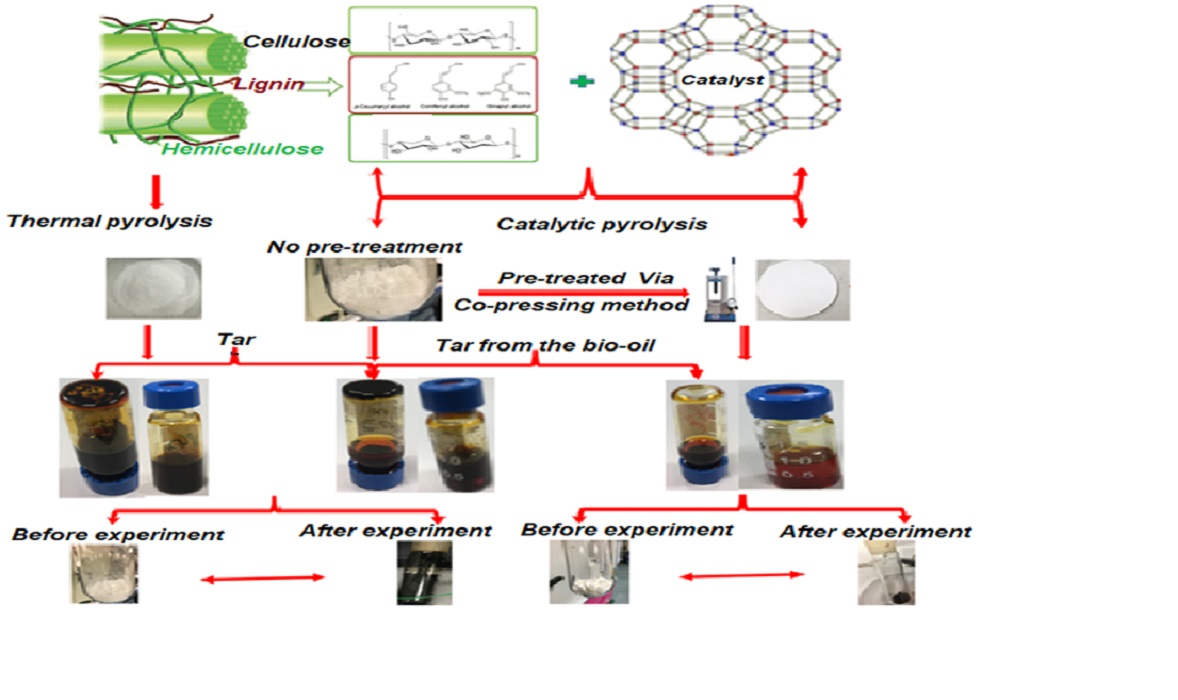 Catalysts Free FullText Improving the Conversion of Biomass in