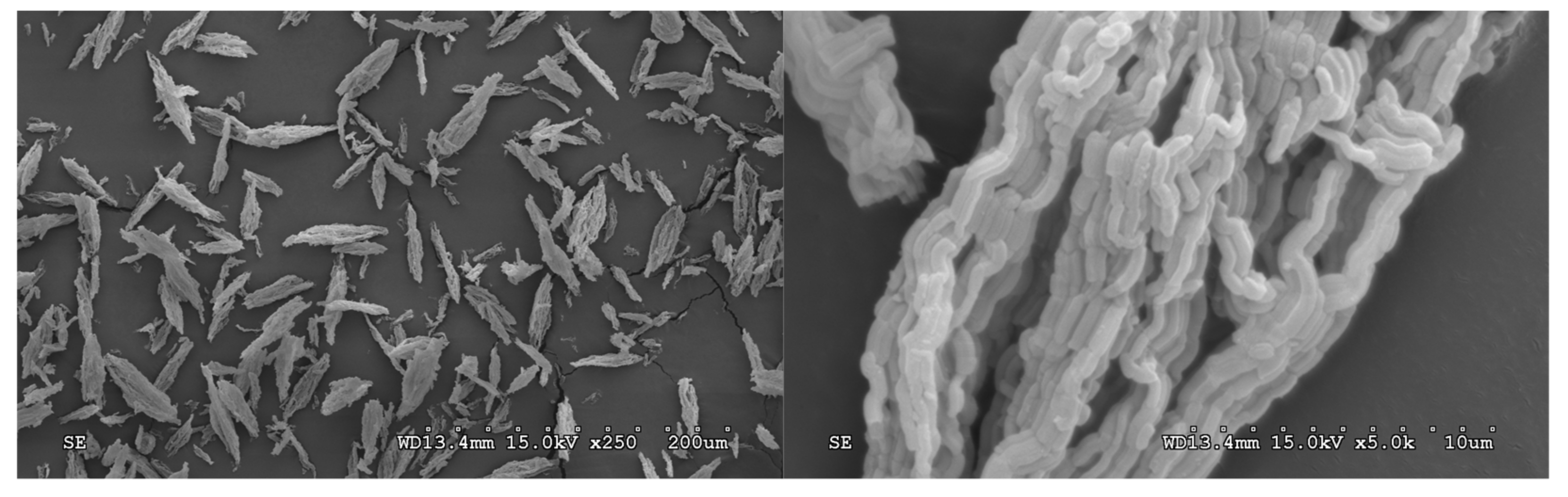 Catalysts 11 00808 g015 Catalysts 11 00808 g015
