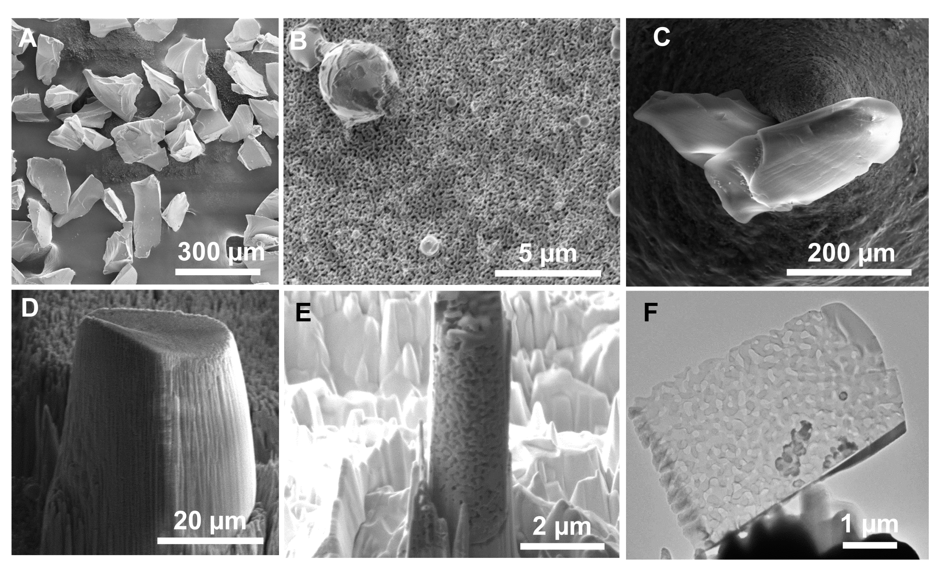 Catalysts 11 00810 g002 550