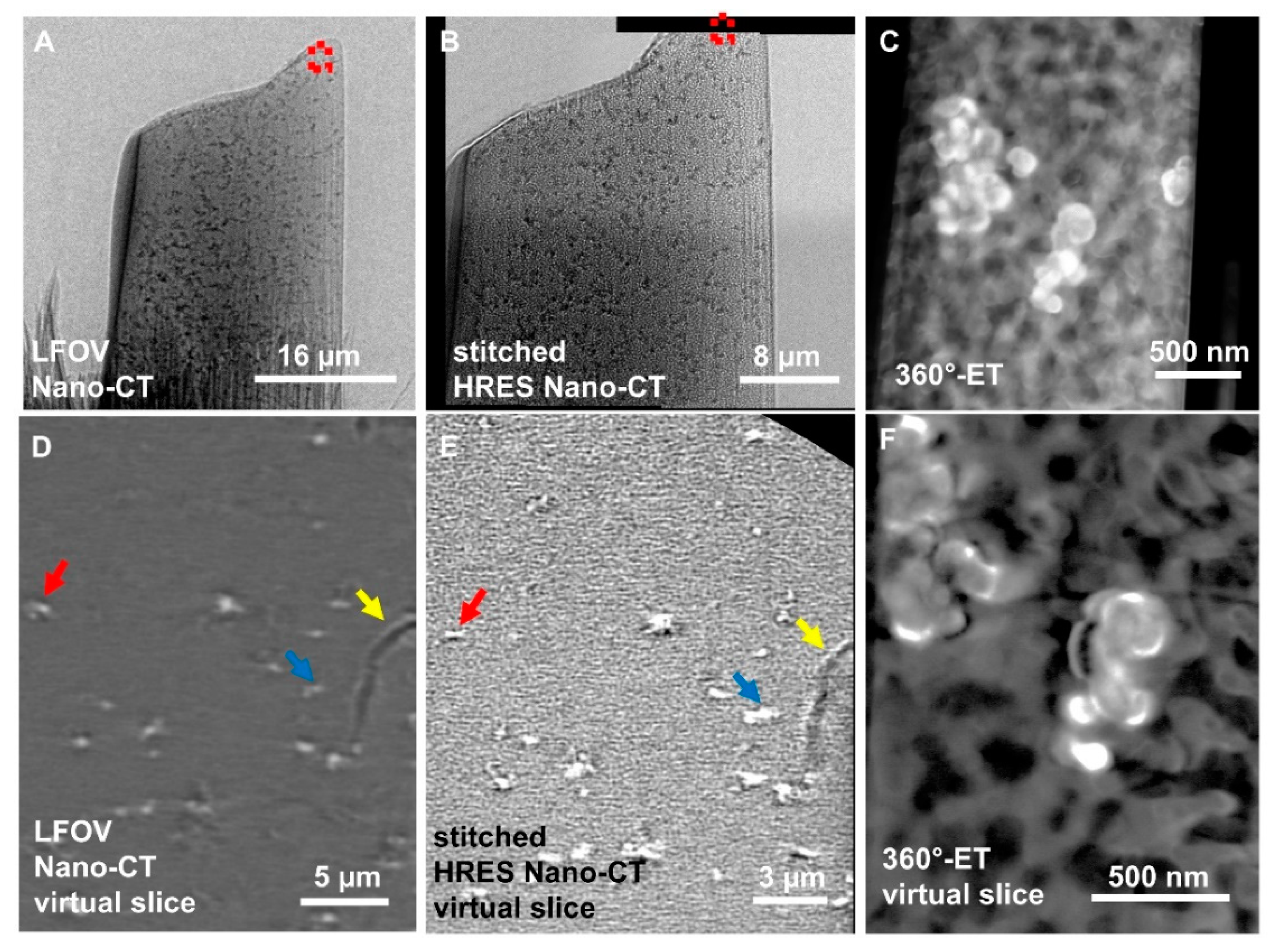 Catalysts 11 00810 g003 550