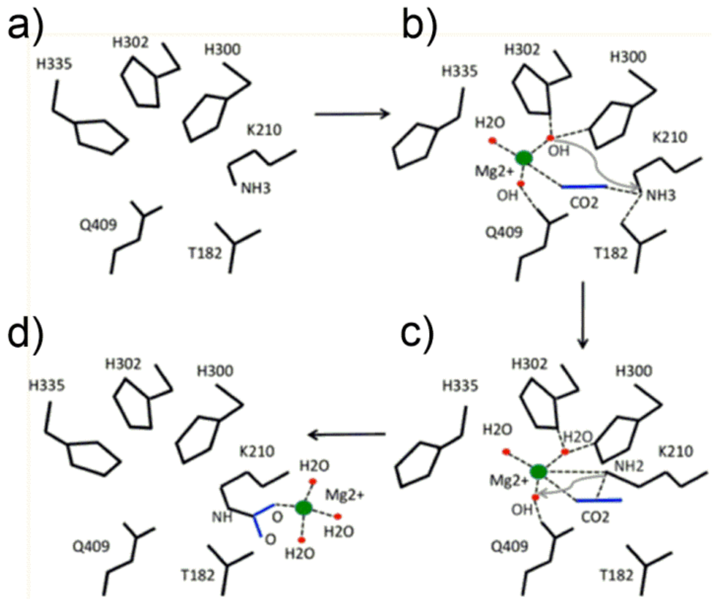 Catalysts 11 00813 g005