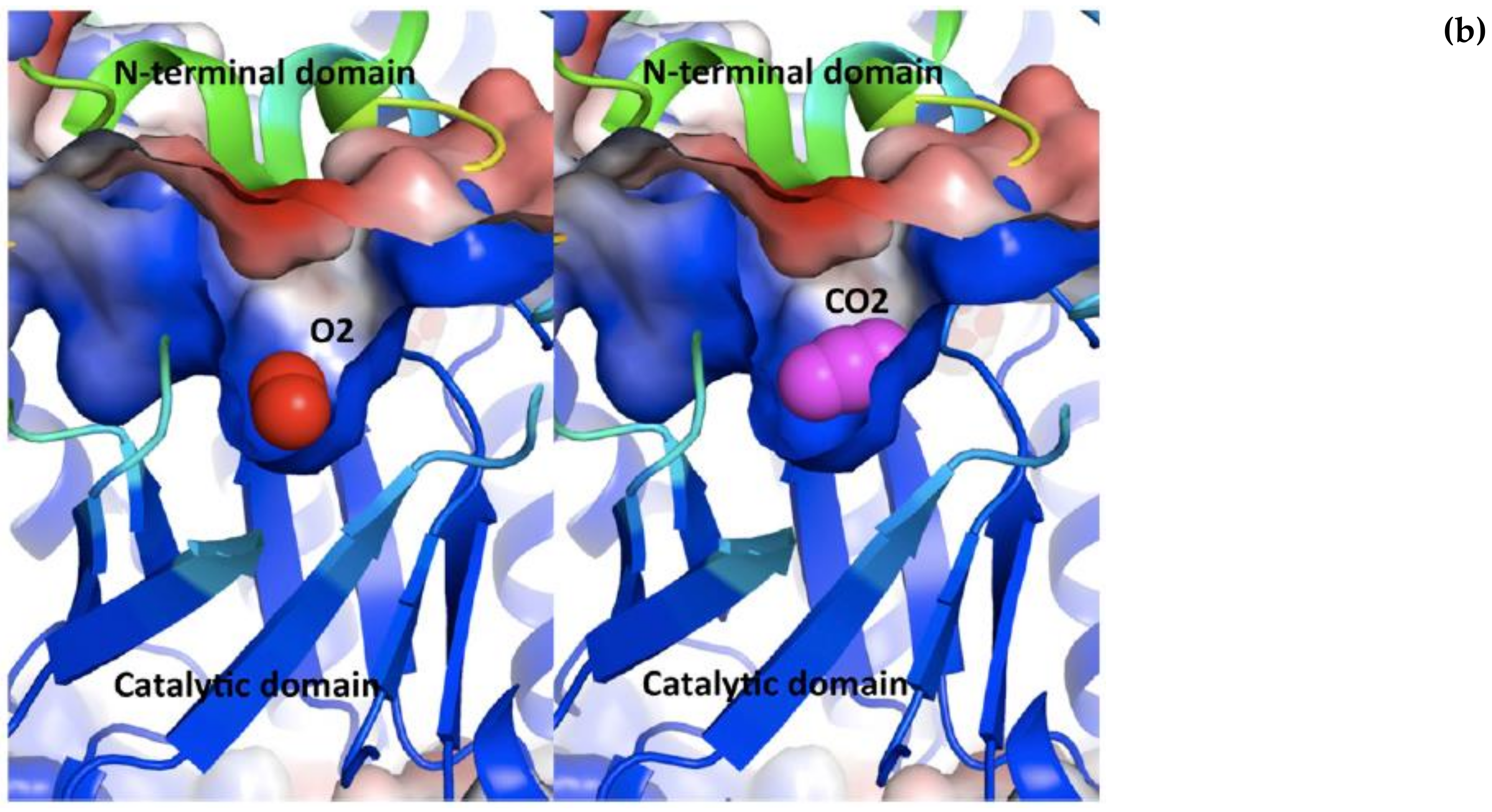 Catalysts 11 00813 g006b