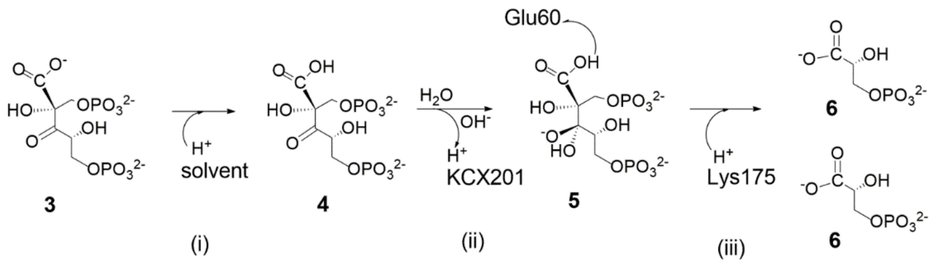 Catalysts 11 00813 g012