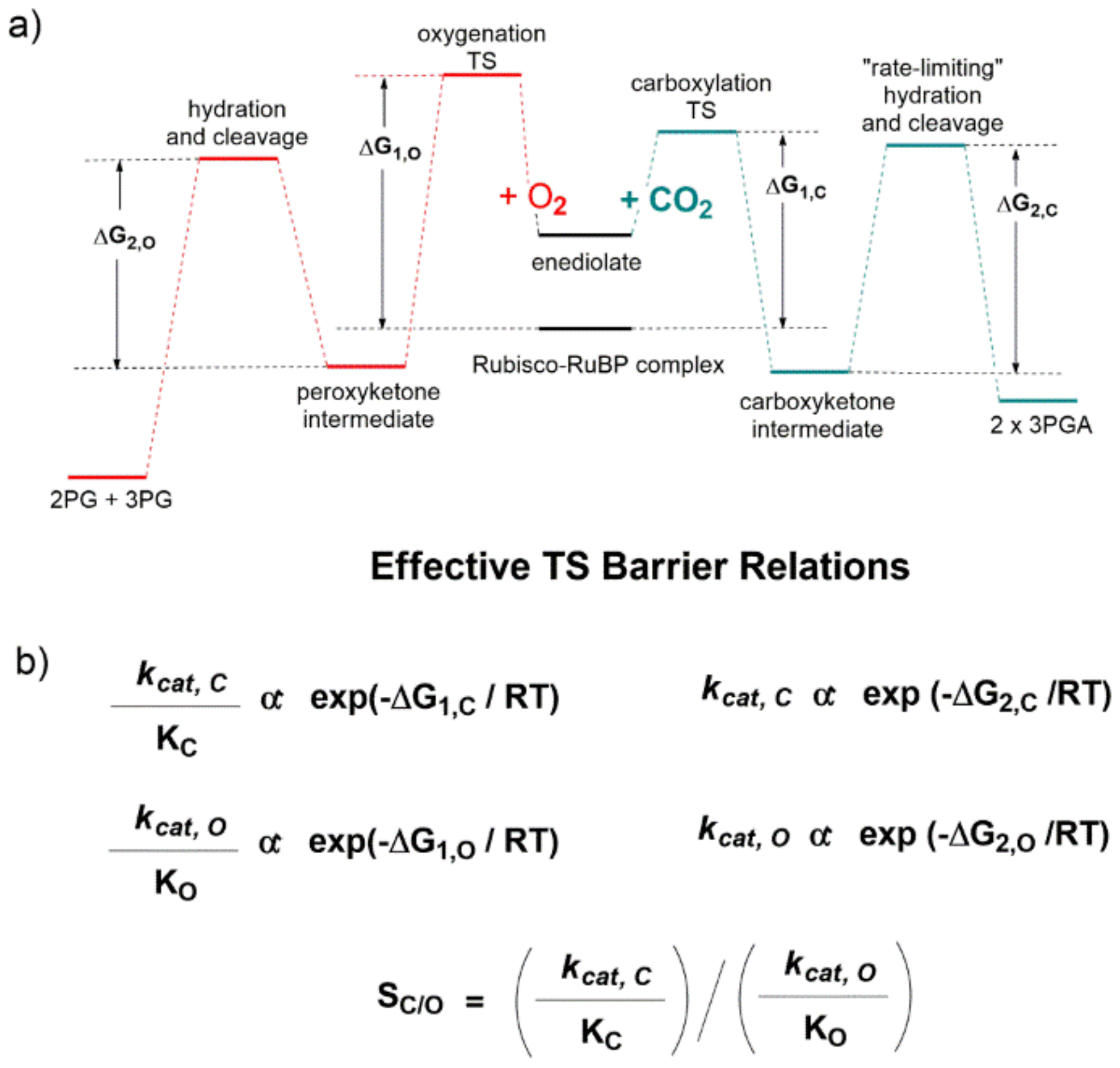 Catalysts 11 00813 g017