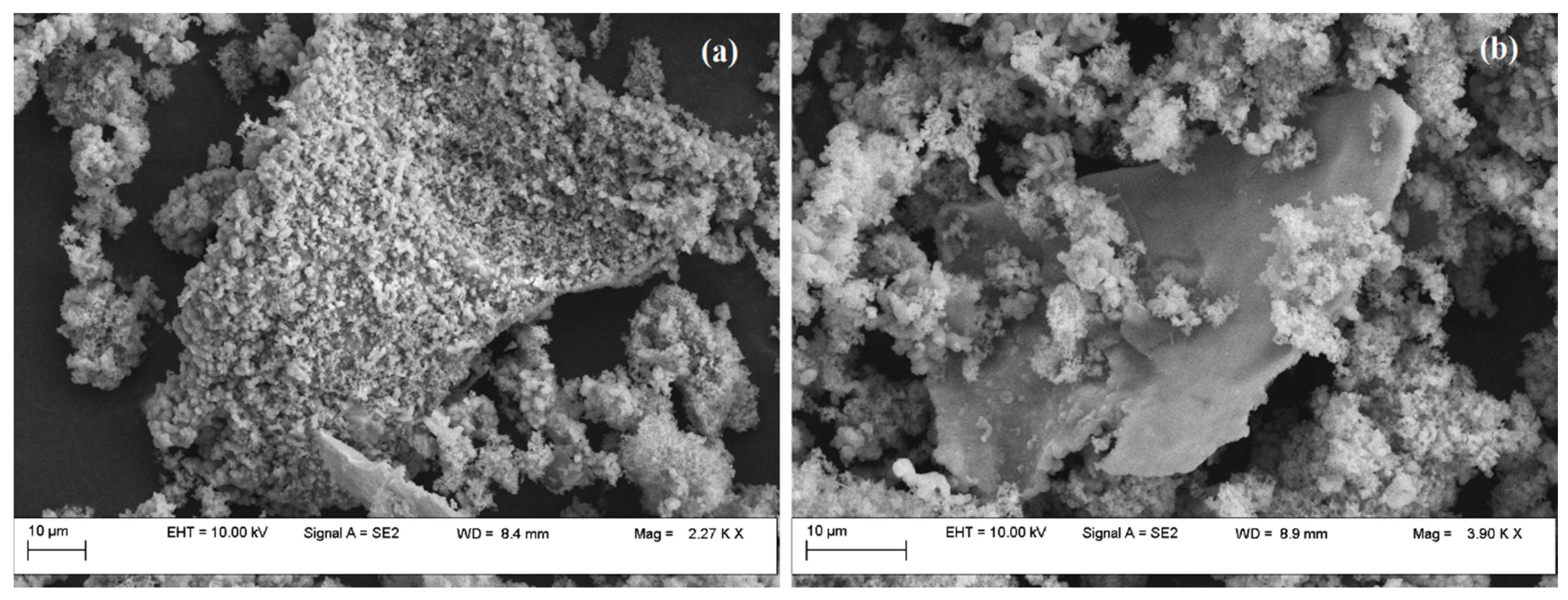 Catalysts 11 00815 g006