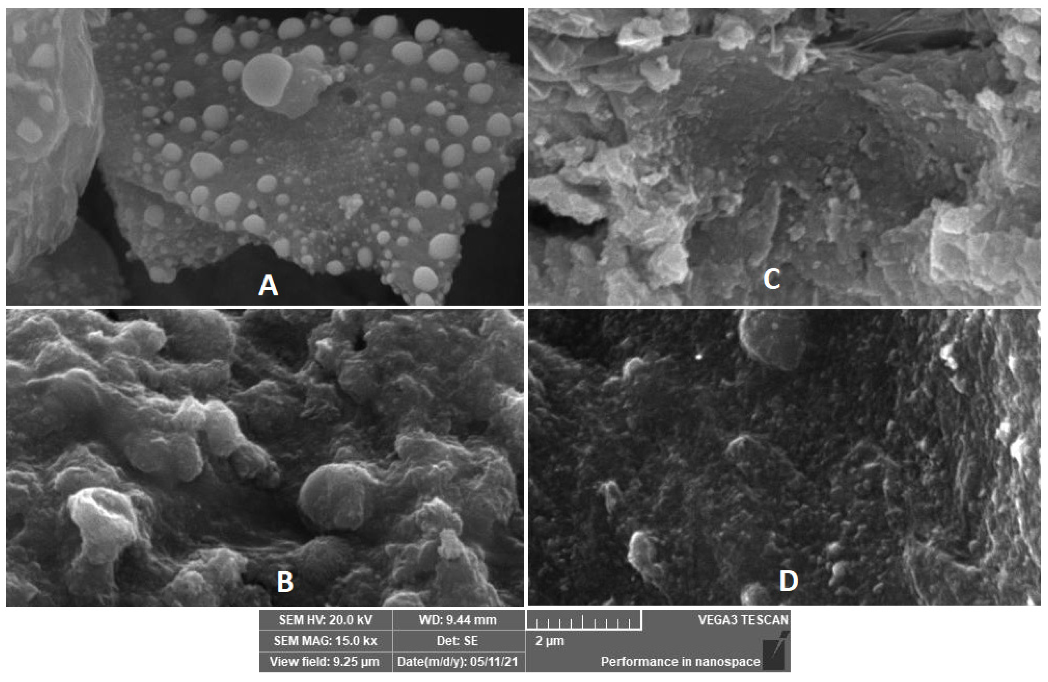 Catalysts 11 00820 g002 Catalysts 11 00820 g002