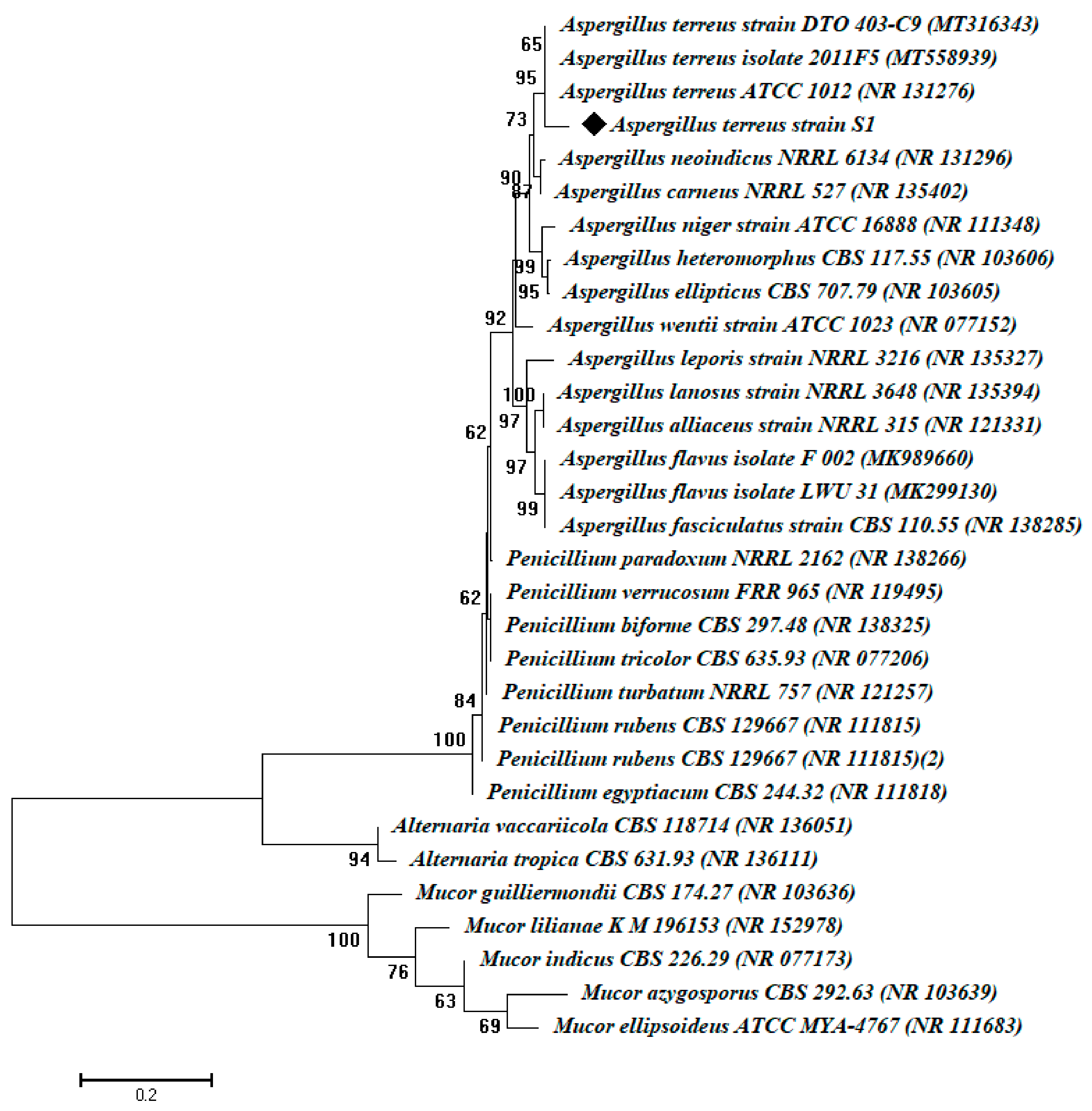 Catalysts 11 00821 g001