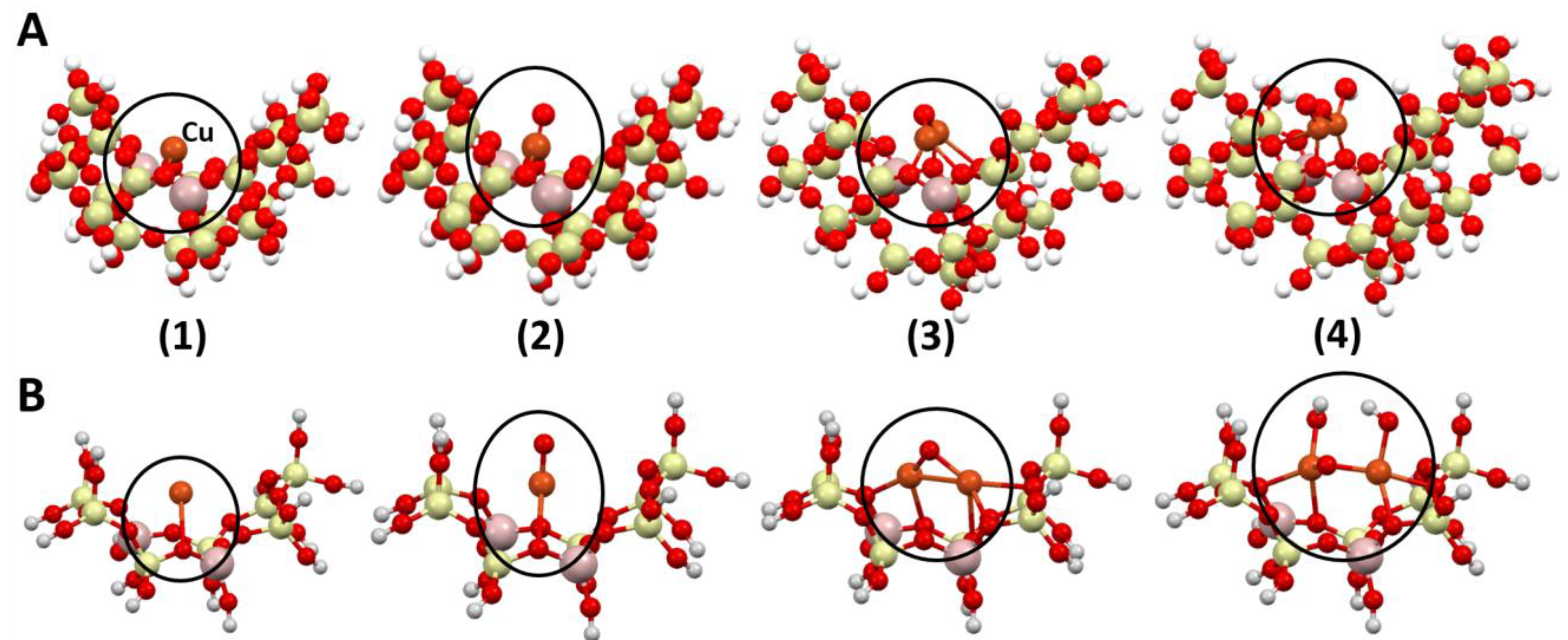 Catalysts 11 00824 g007