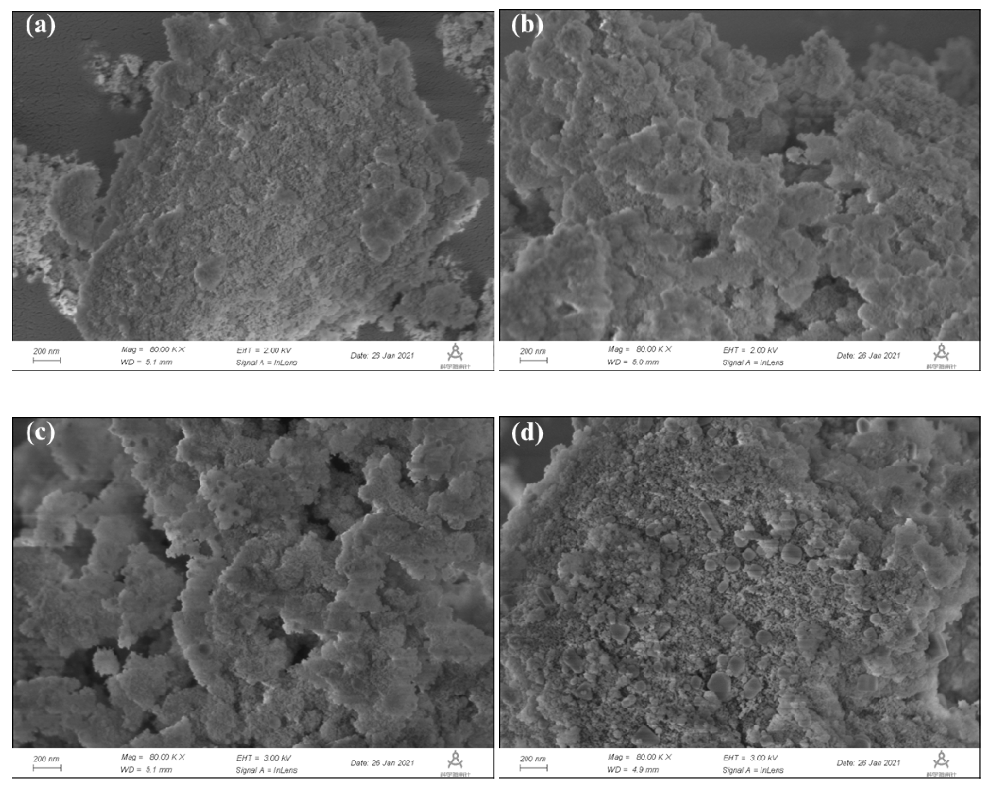 Catalysts 11 00826 g005