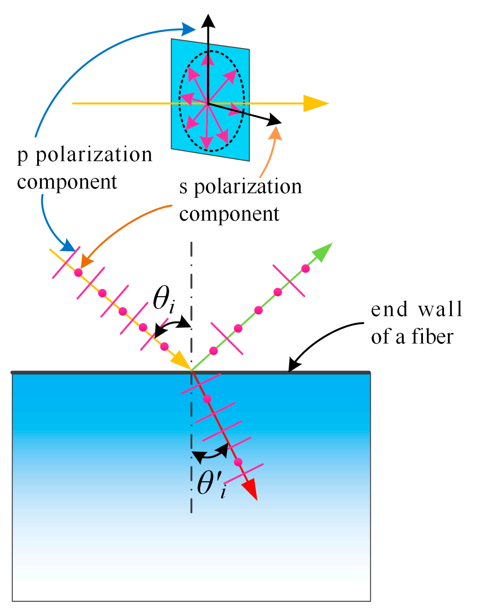 Catalysts 11 00829 g006