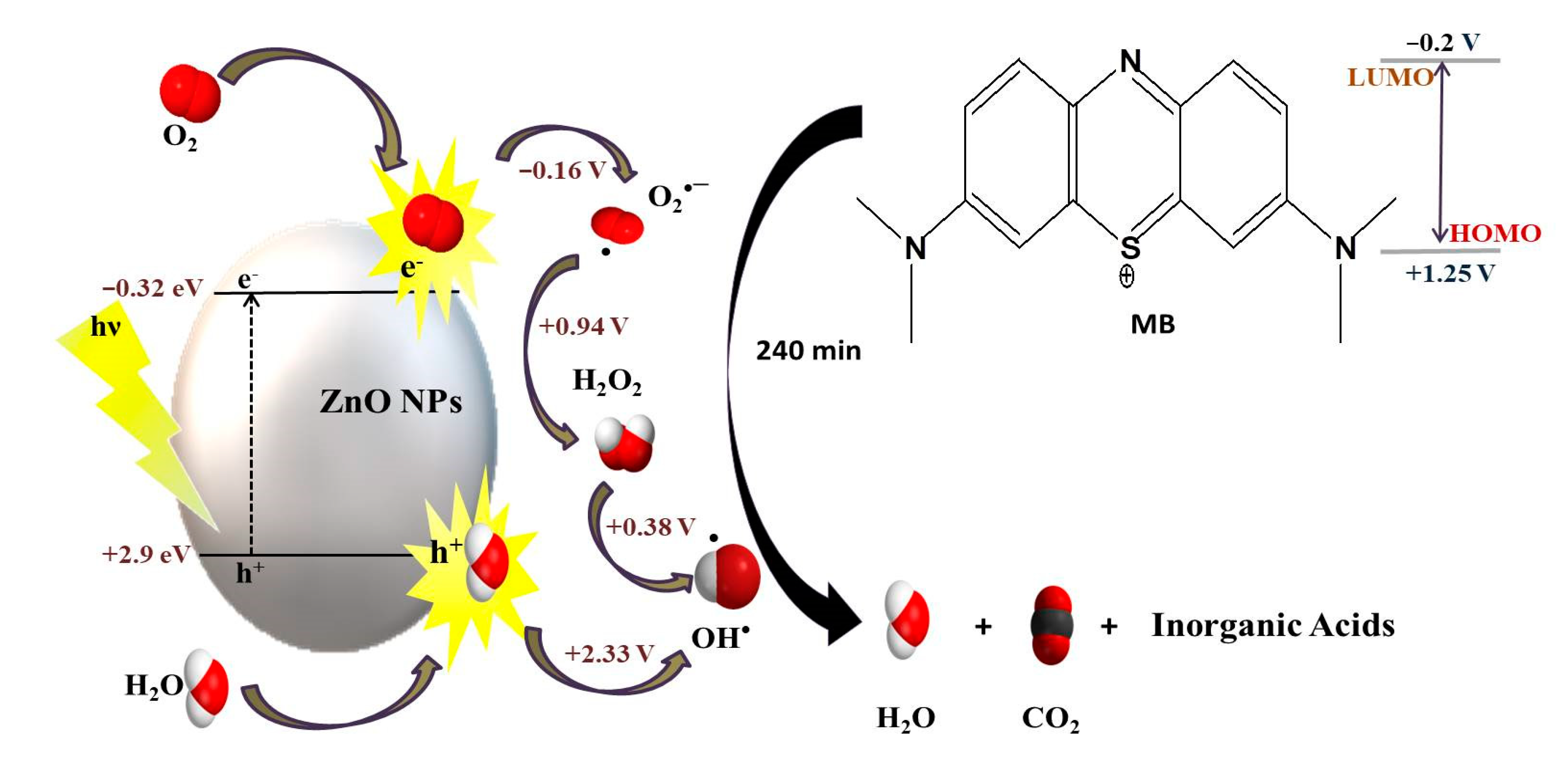 Catalysts 11 00831 g005