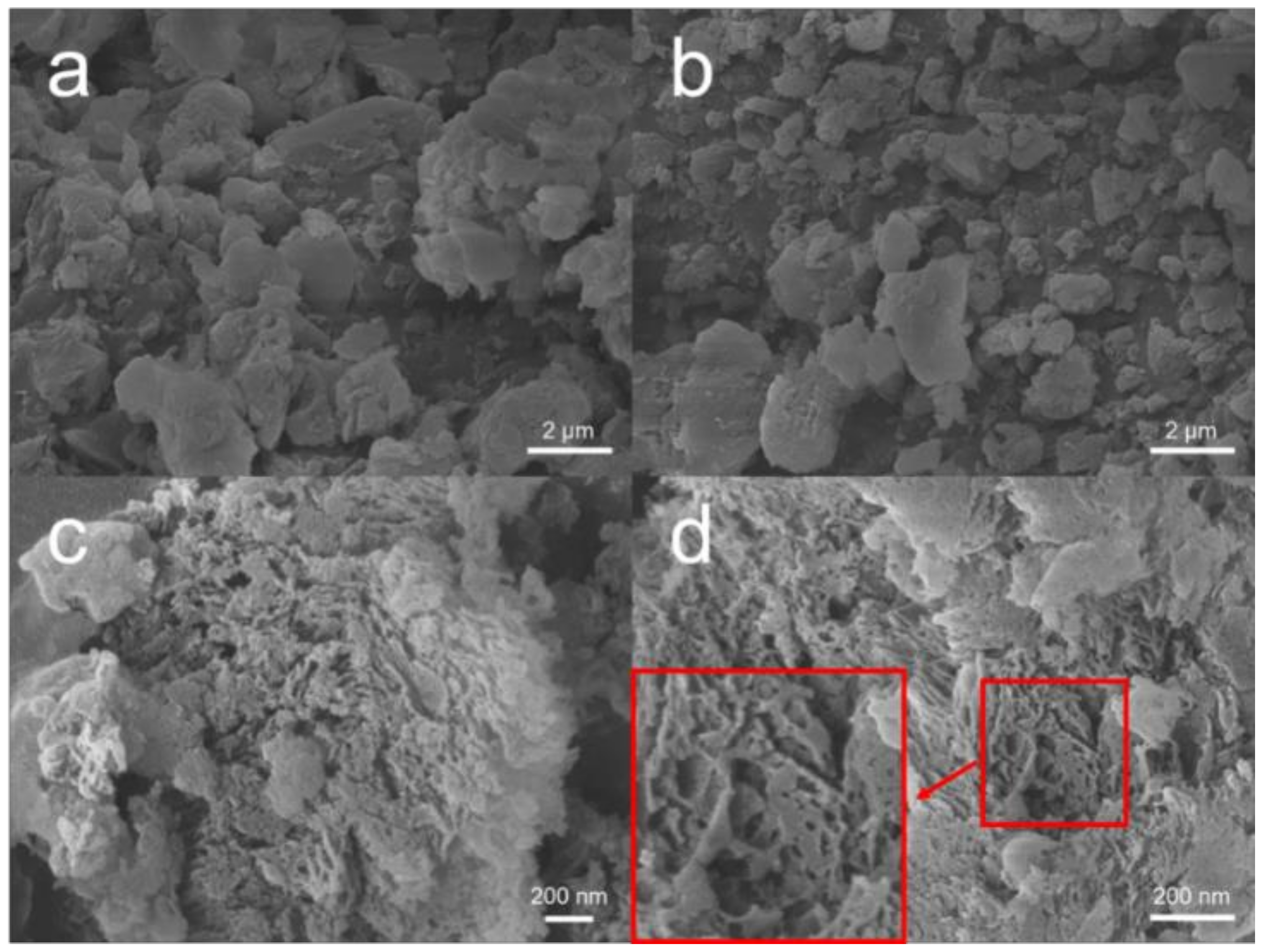 Catalysts 11 00832 g002