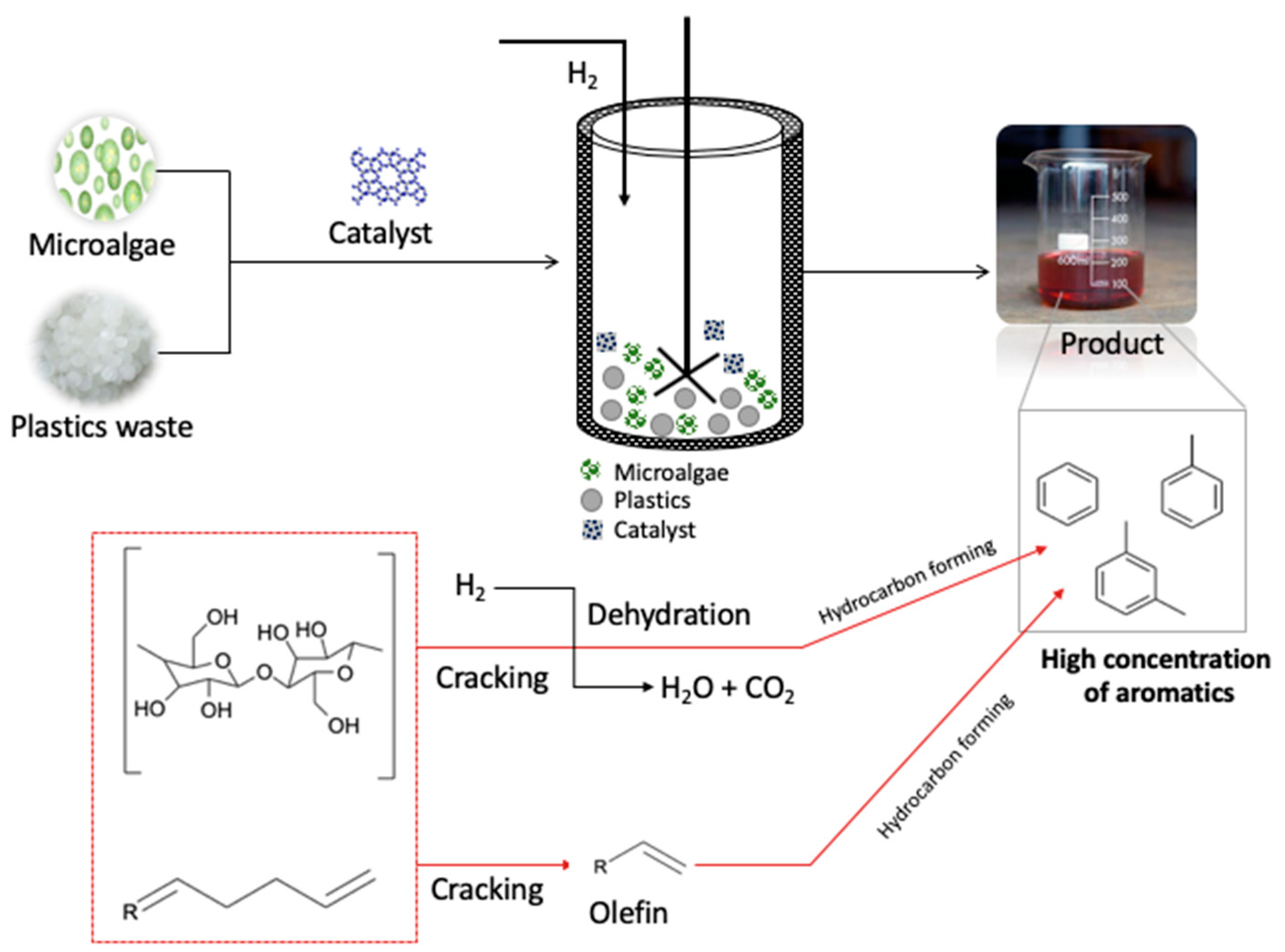 Catalysts 11 00837 g004