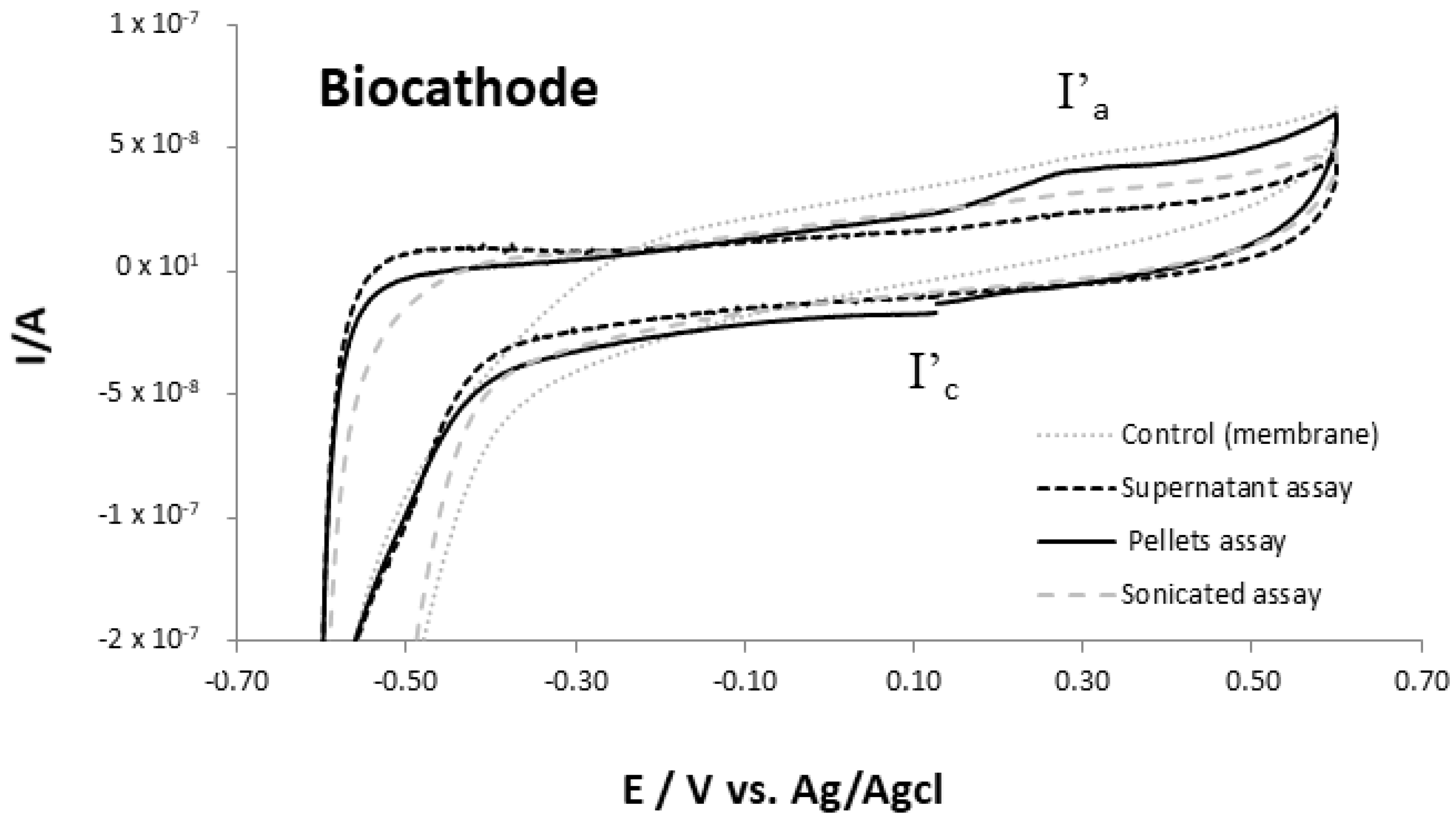 Catalysts 11 00839 g002