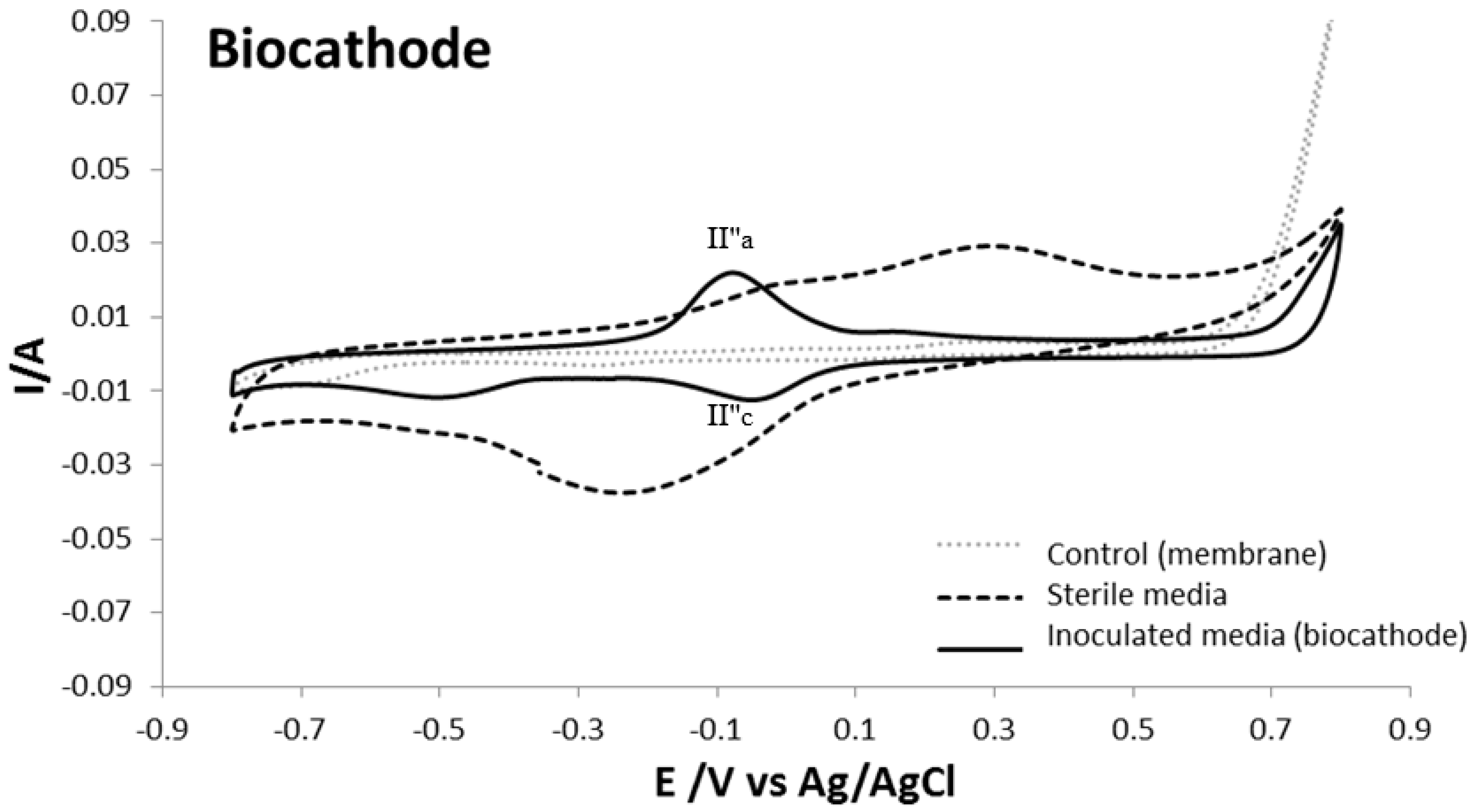 Catalysts 11 00839 g004