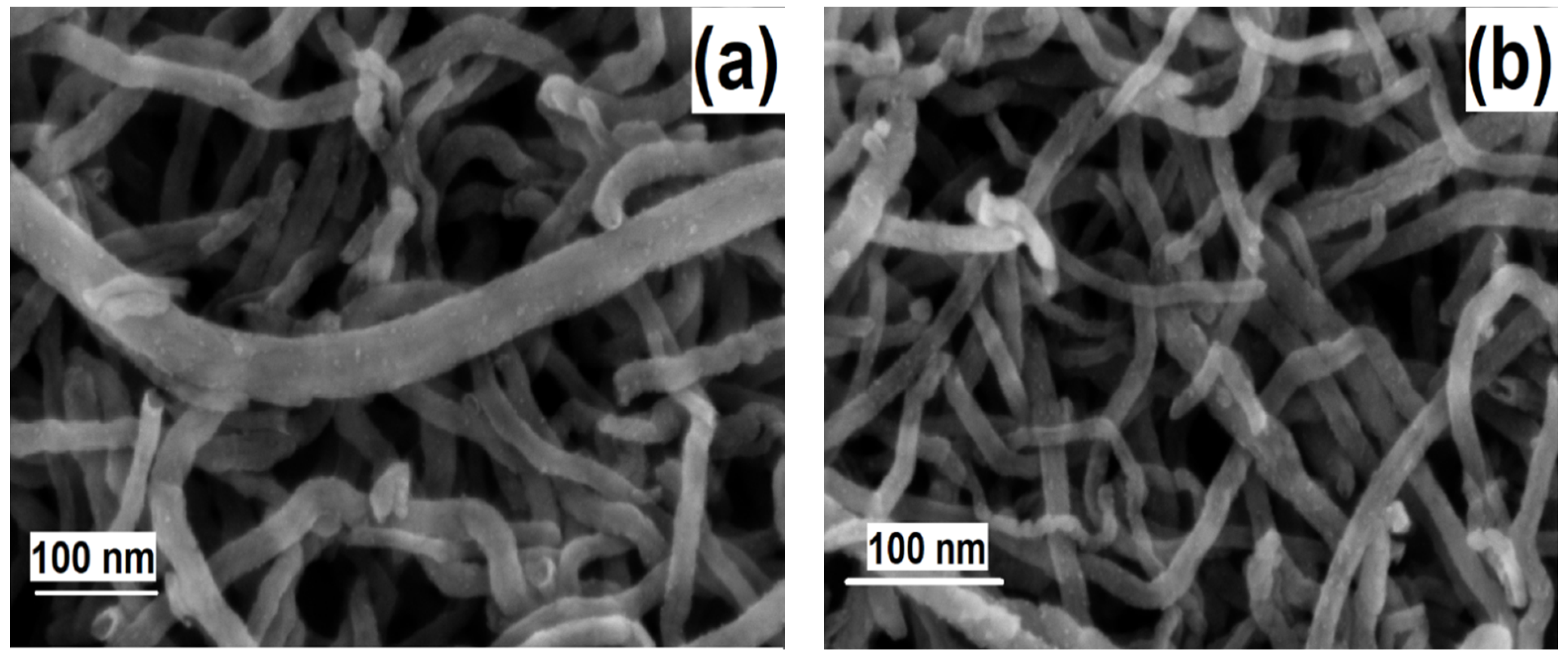 Catalysts 11 00846 g005a