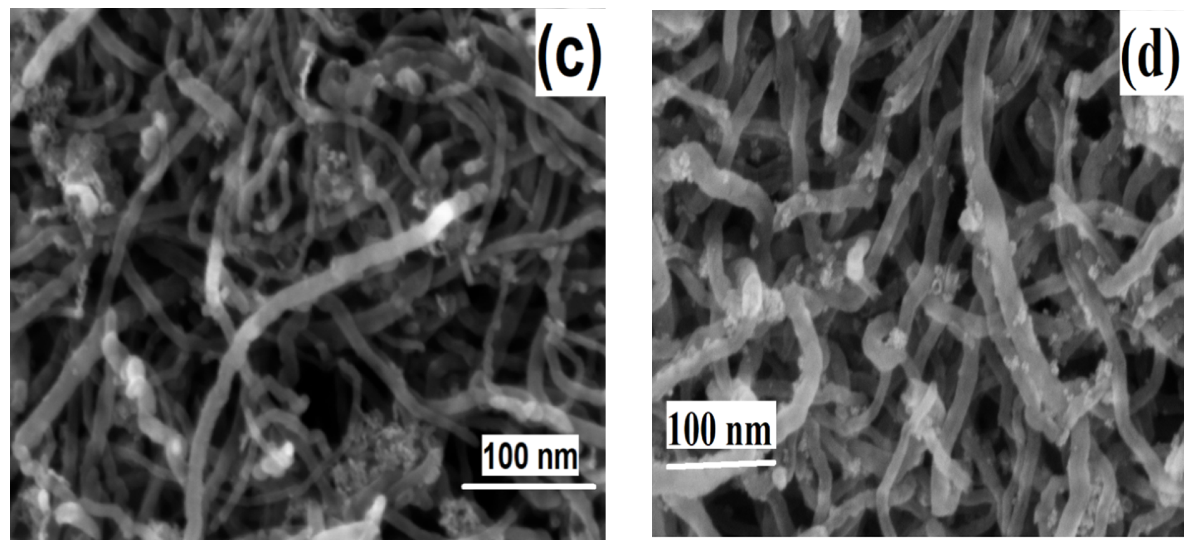 Catalysts 11 00846 g005b