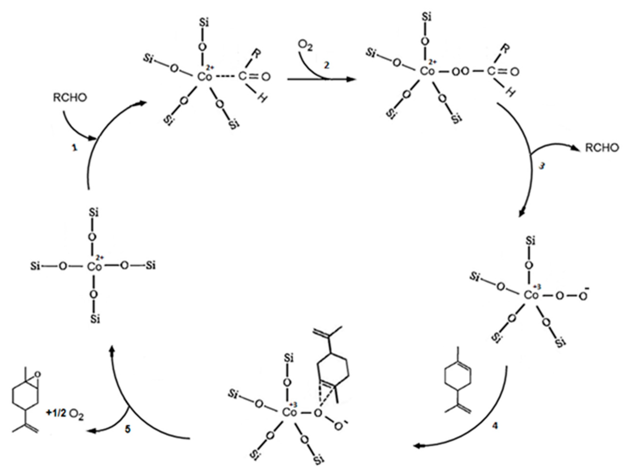 Catalysts 11 00847 sch004
