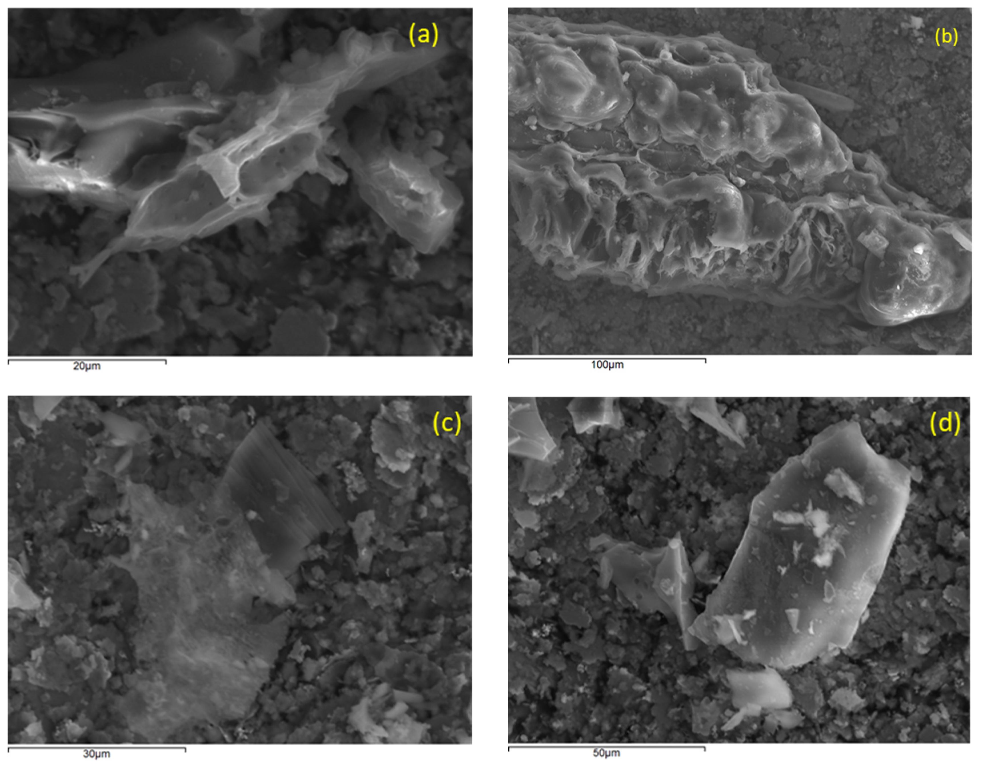 Catalysts 11 00850 g001