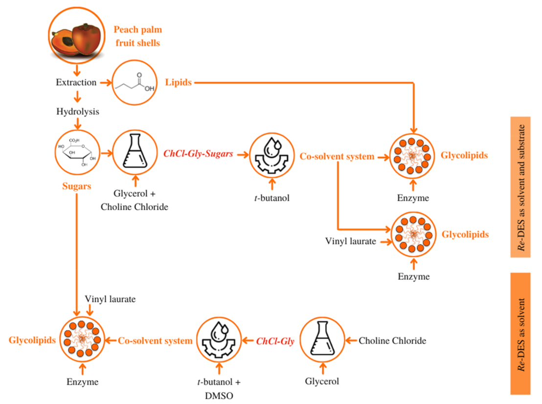 Catalysts 11 00853 g002 550