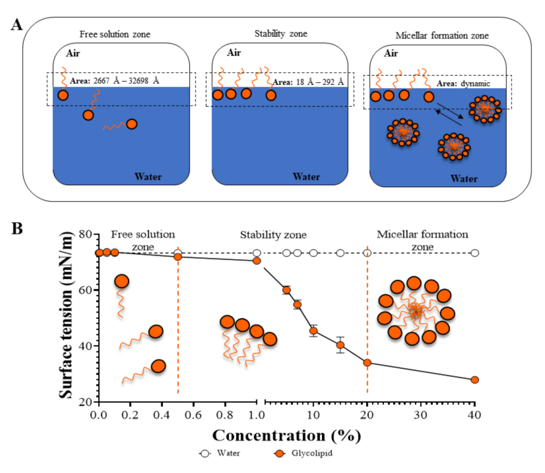 Catalysts 11 00853 g003 550