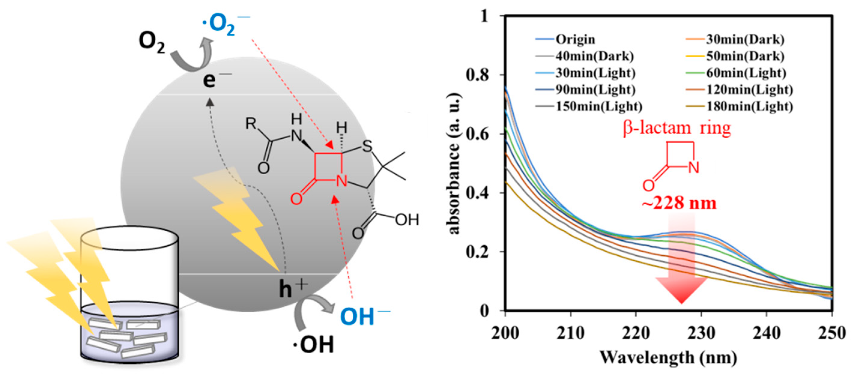 Catalysts 11 00854 g008 550