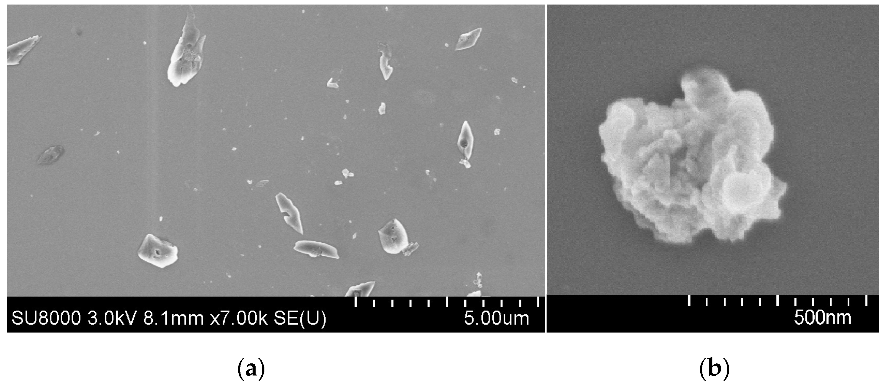 Catalysts 11 00856 g004