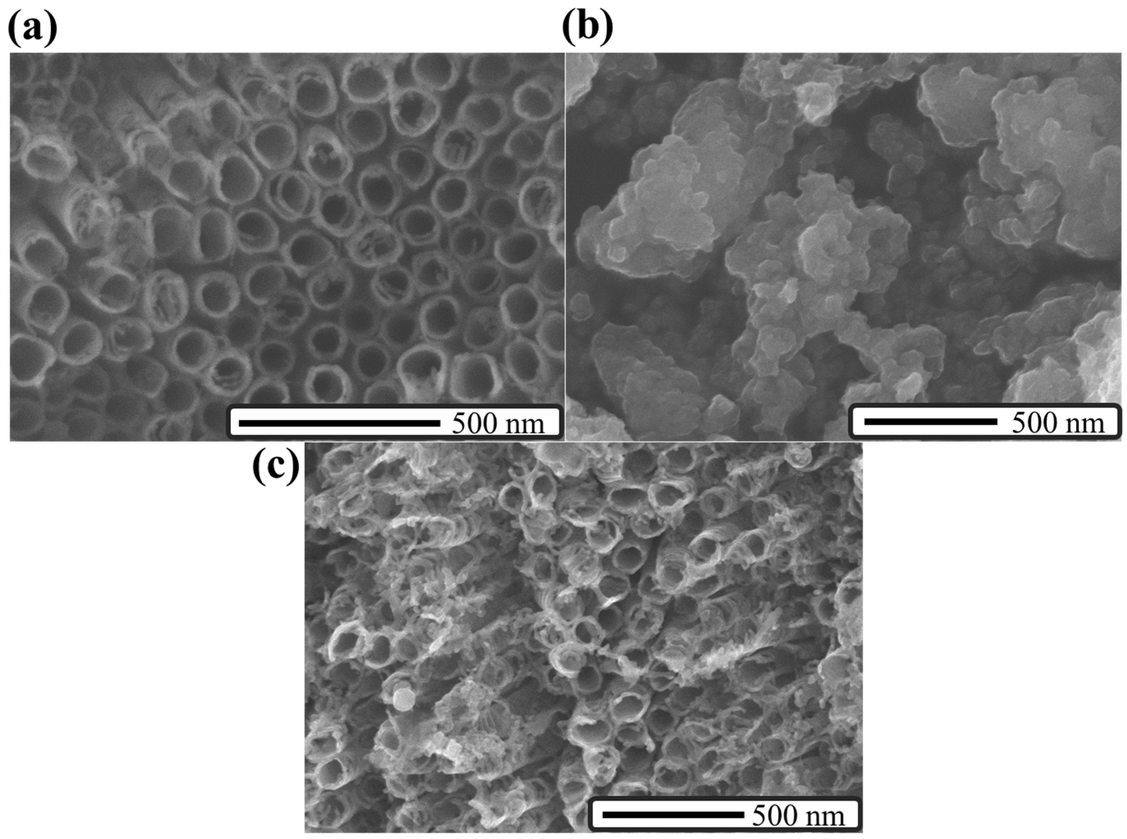 Catalysts 11 00857 g004