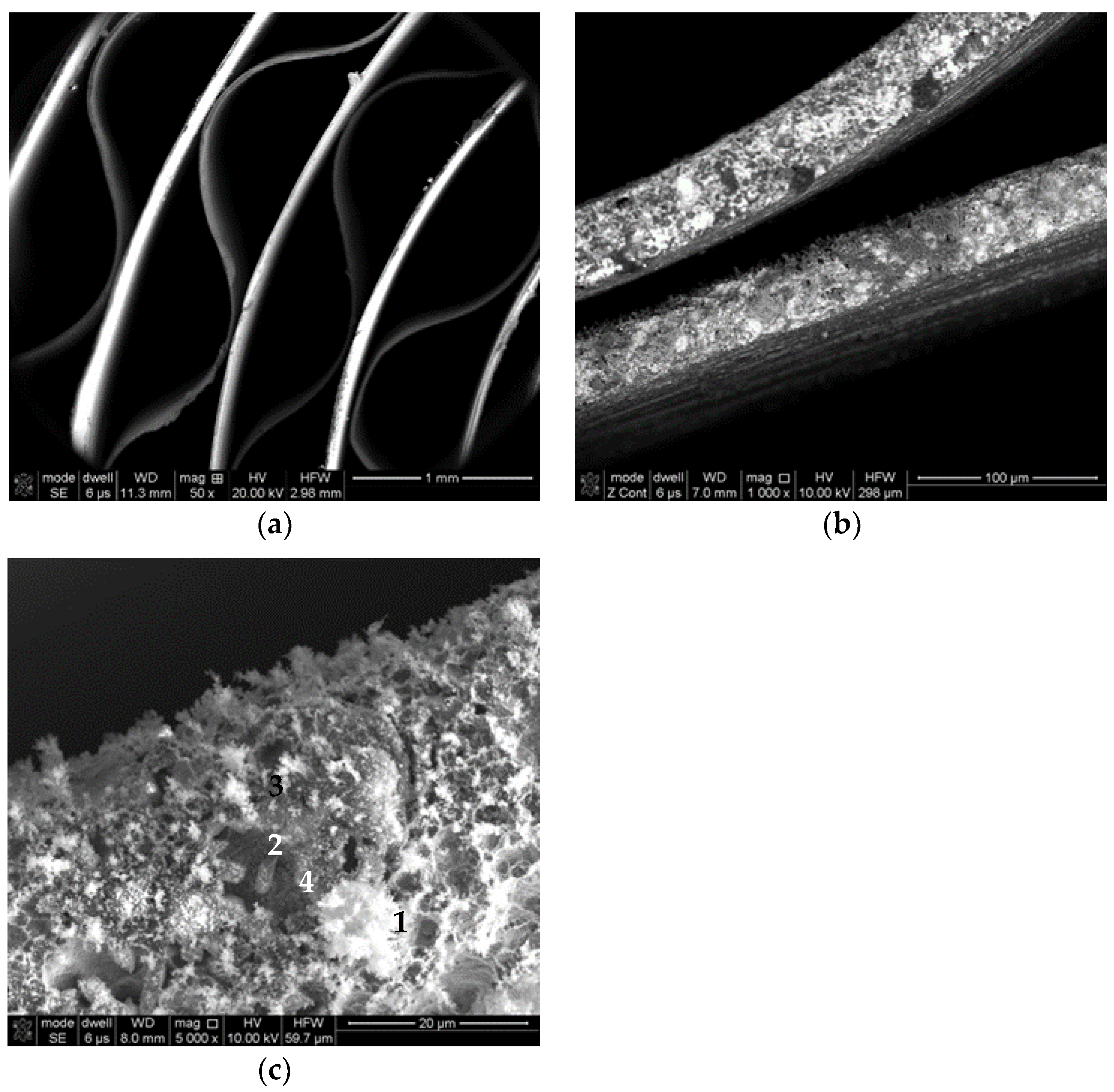 Catalysts 11 00860 g001 Catalysts 11 00860 g001