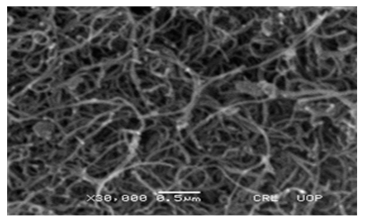 Catalysts 11 00863 g001