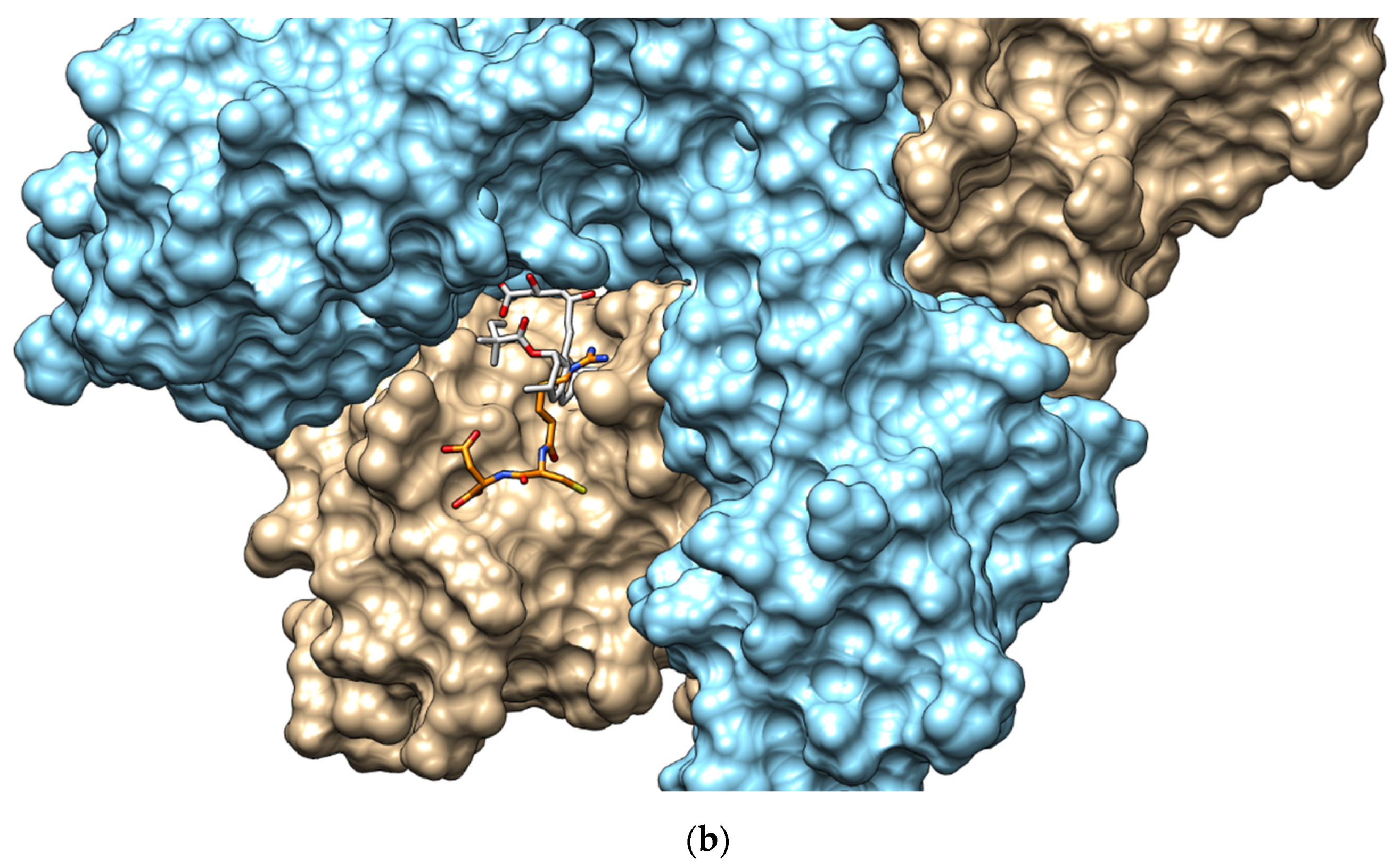 Catalysts 11 00873 g0a2b 550