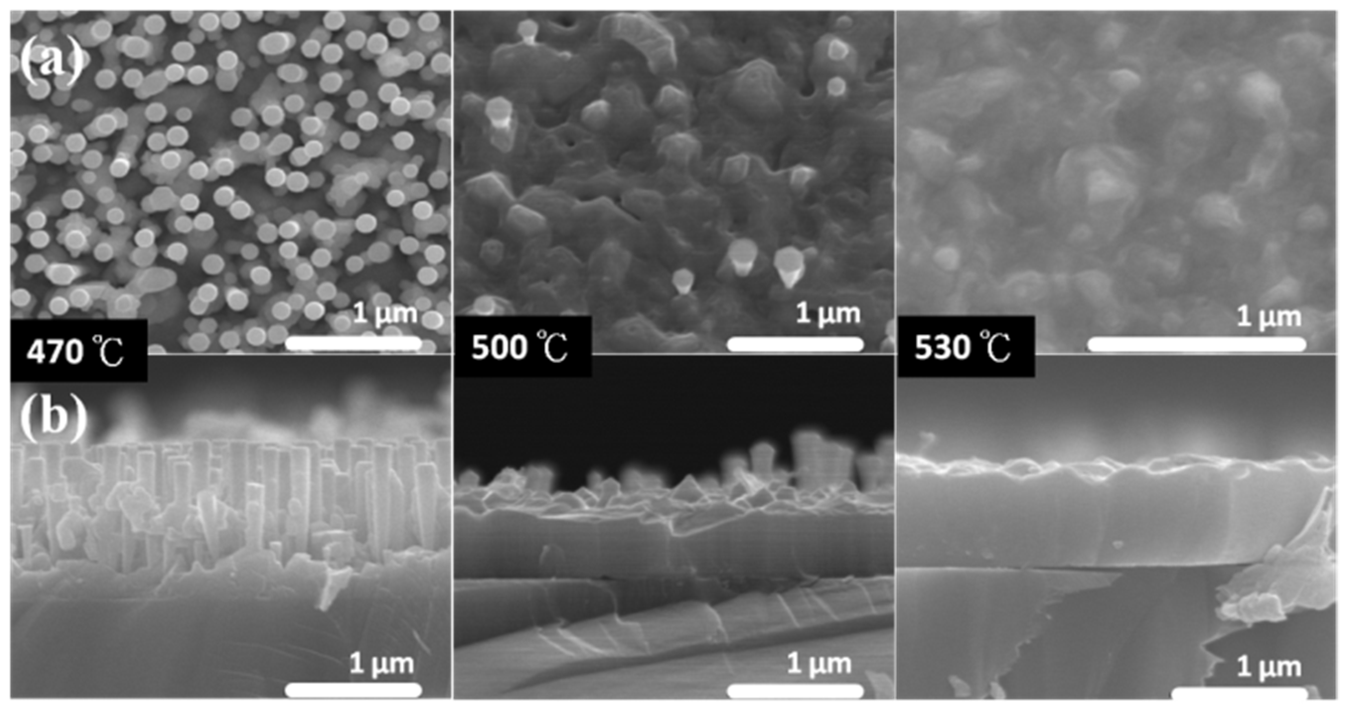 Catalysts 11 00886 g001 550