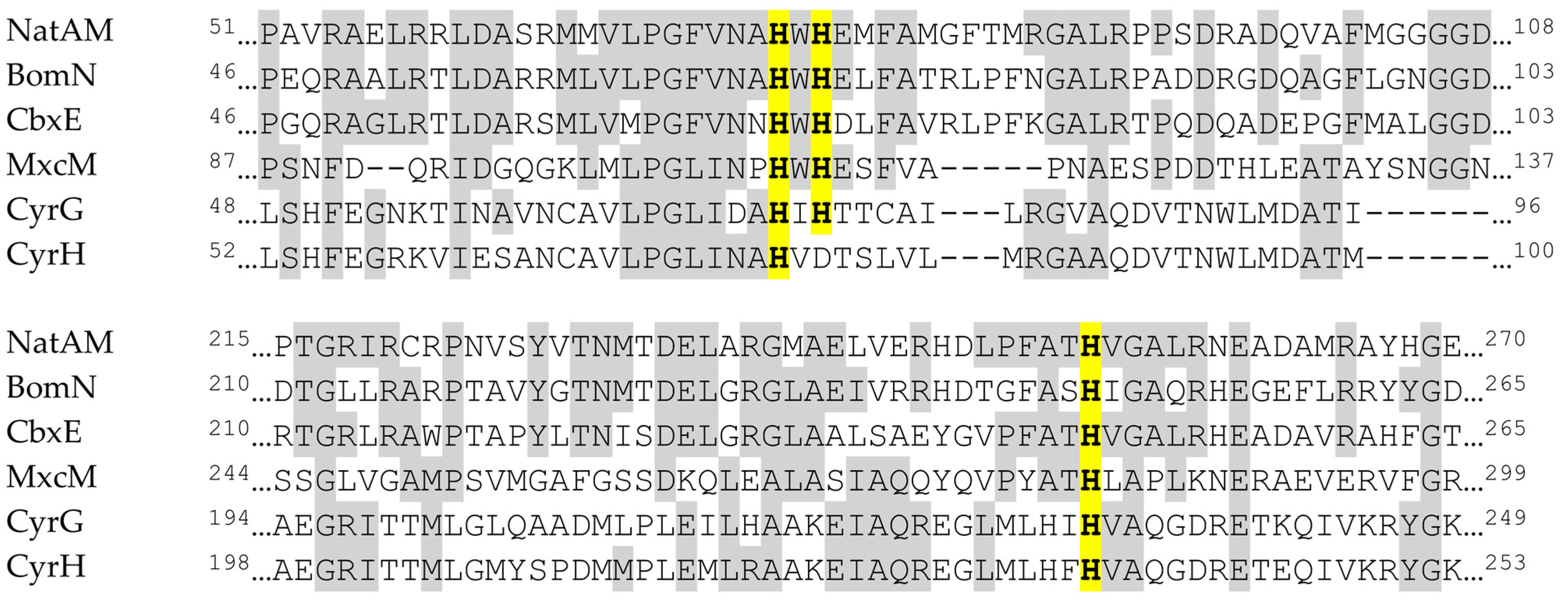 Catalysts 11 00892 g002