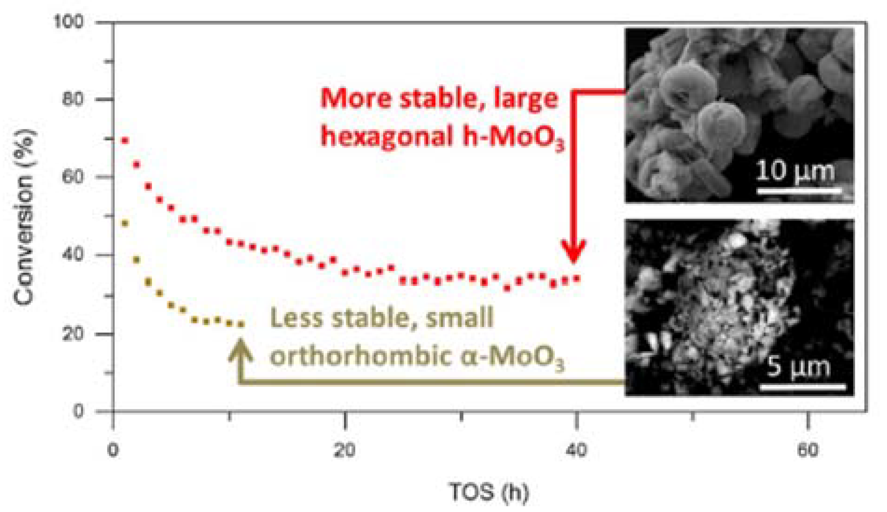 Catalysts 11 00893 g004 550