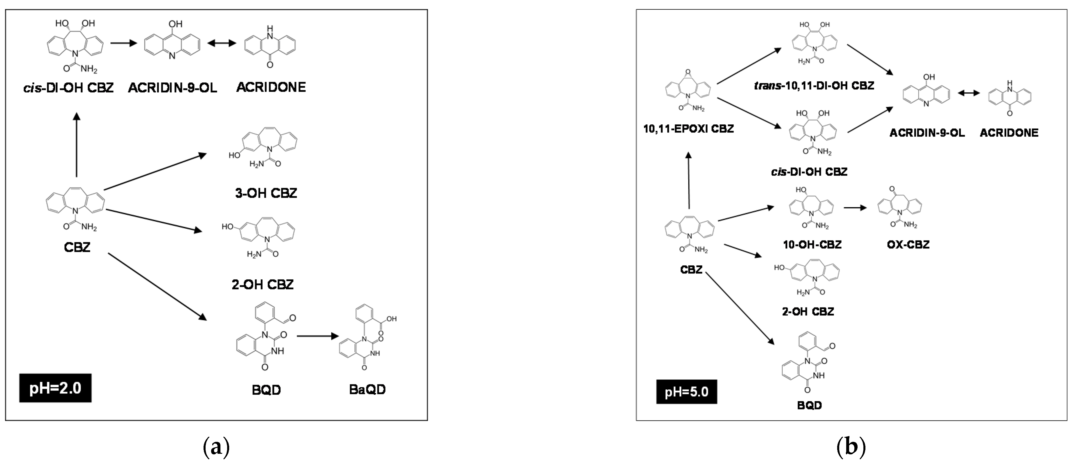 Catalysts 11 00894 g003