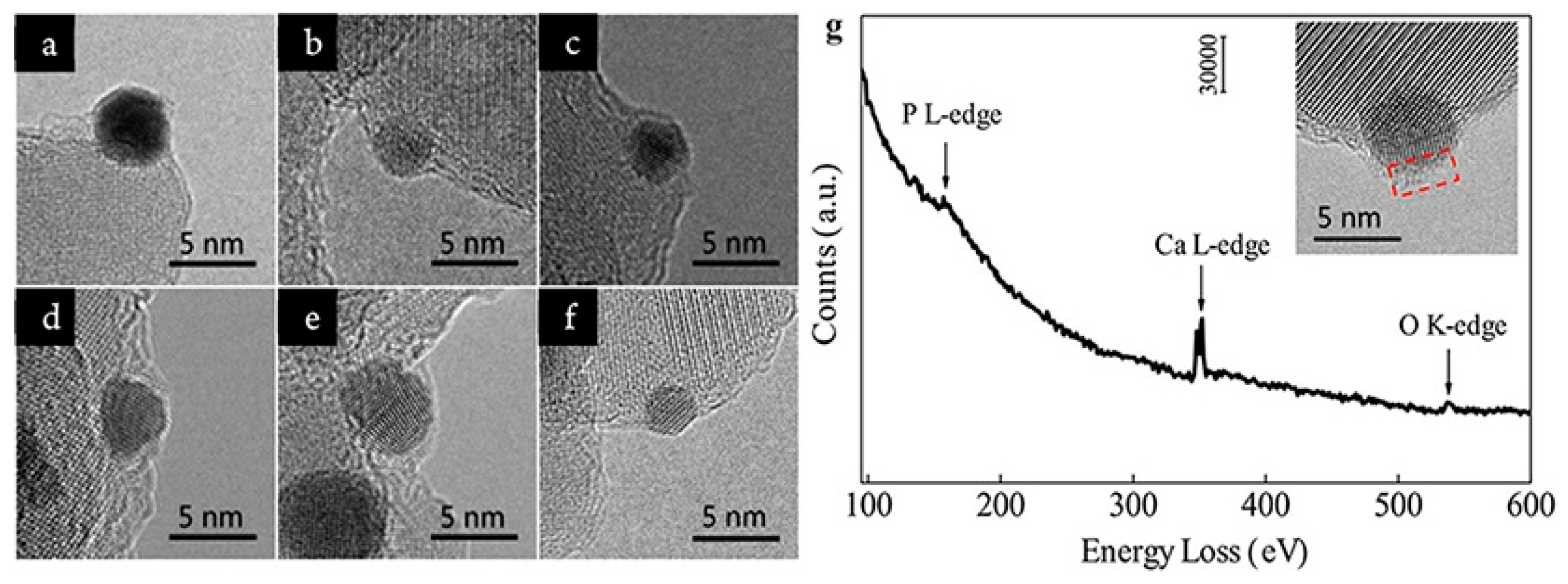 Catalysts 11 00896 g005 550