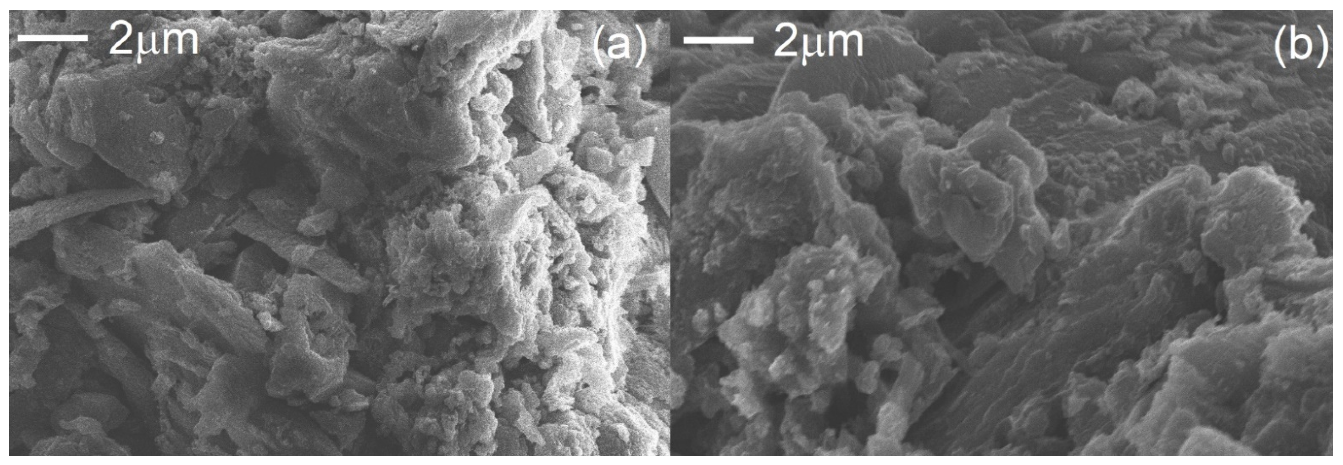 Catalysts 11 00898 g002