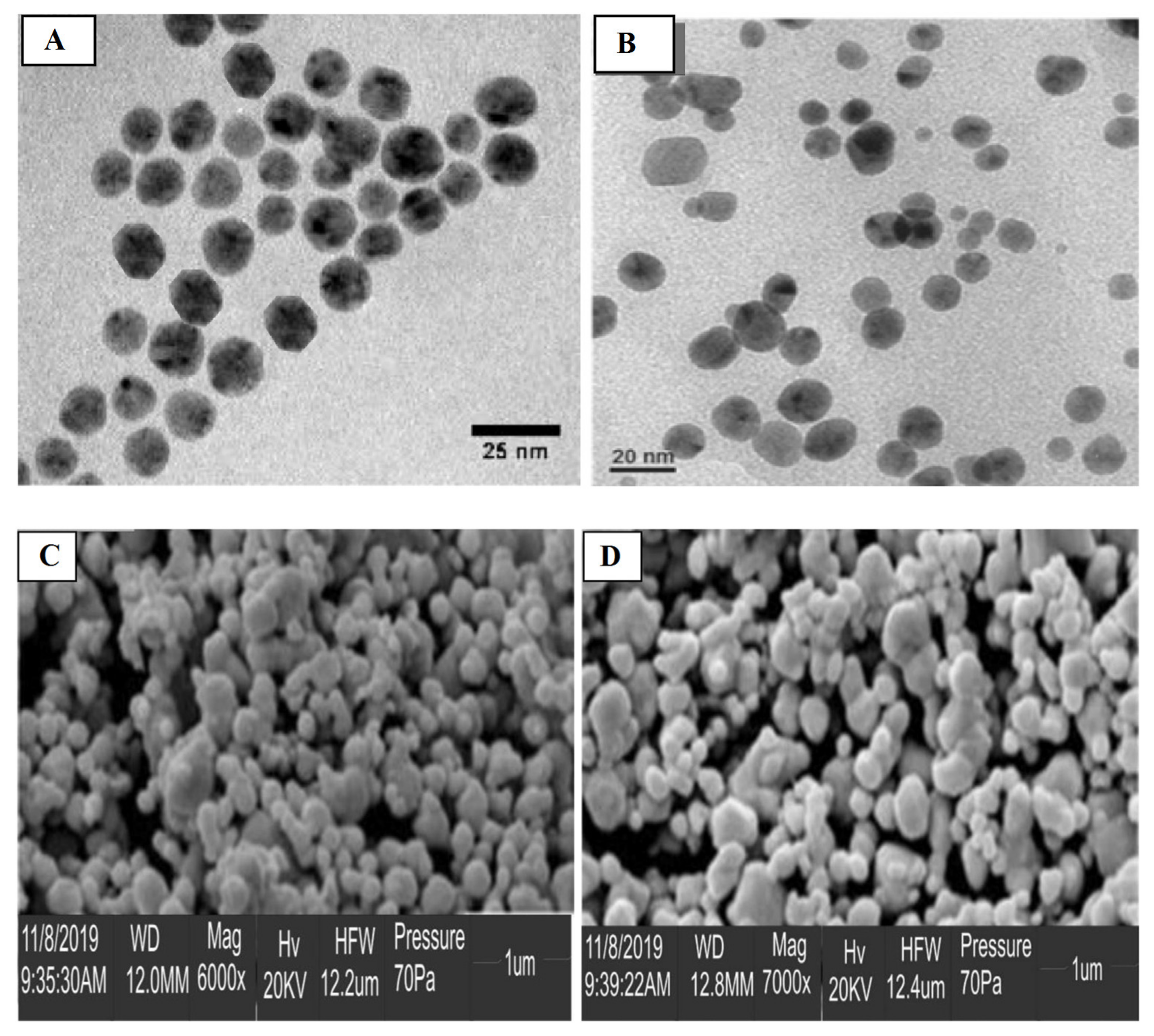 Catalysts 11 00902 g004 Catalysts 11 00902 g004