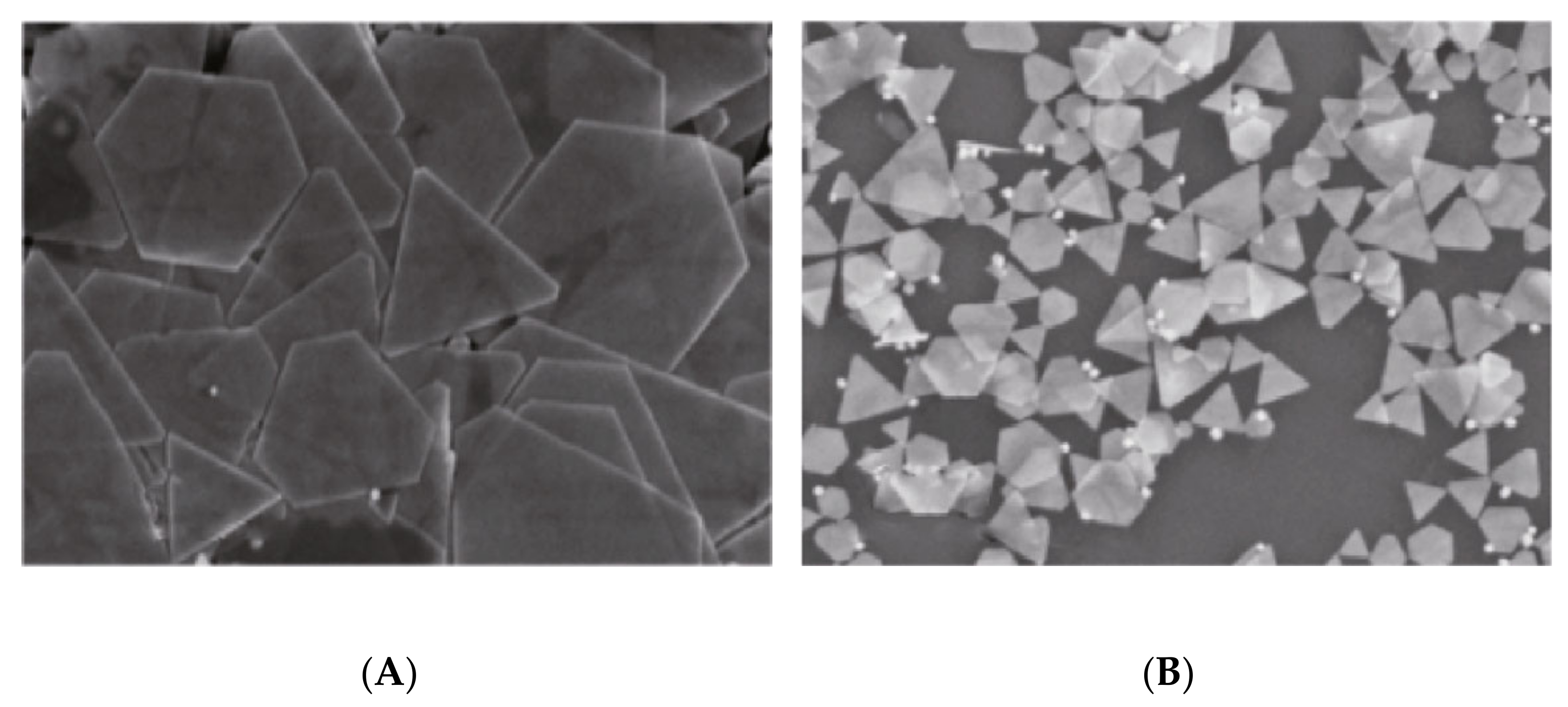 Catalysts 11 00902 g005 Catalysts 11 00902 g005