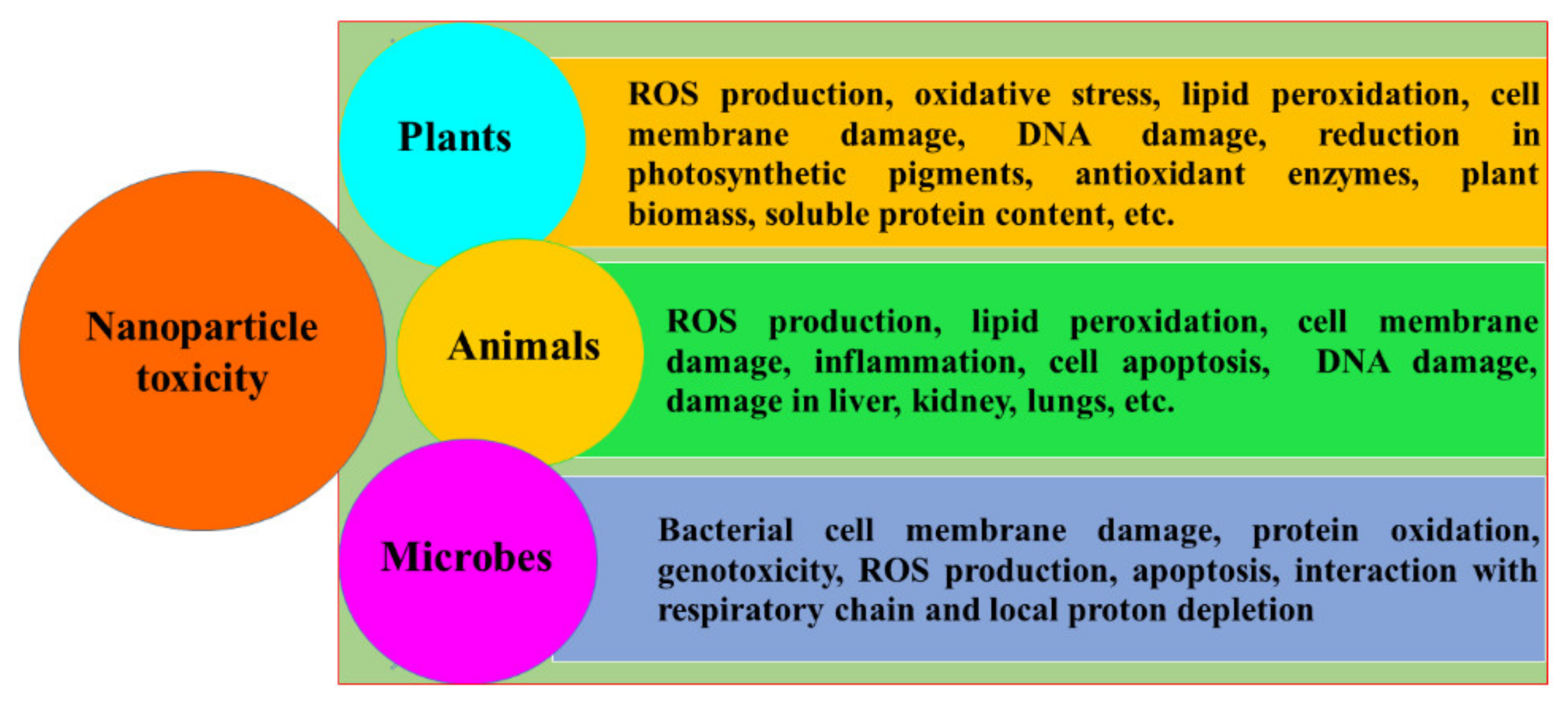 Catalysts 11 00902 g007 Catalysts 11 00902 g007