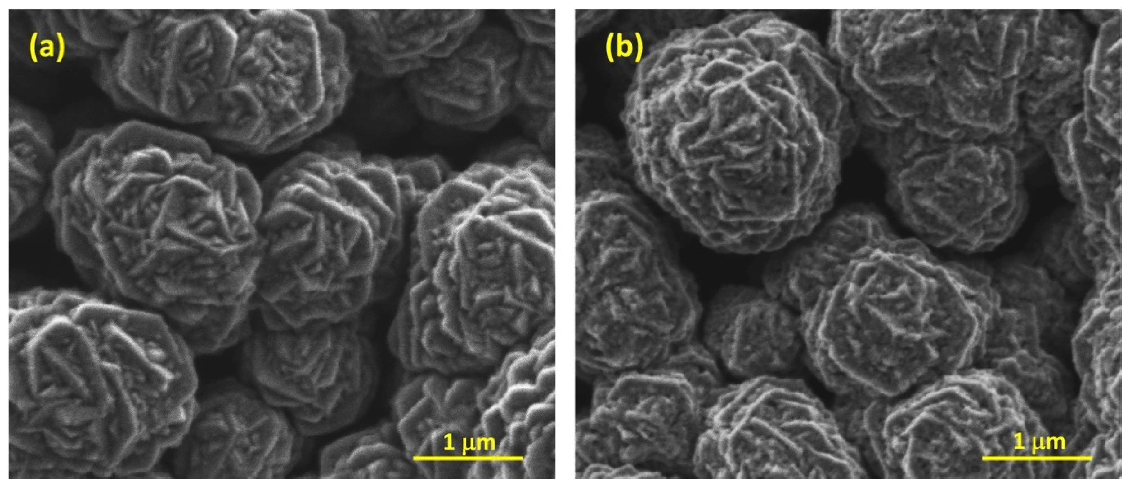 Catalysts 11 00905 g002 550