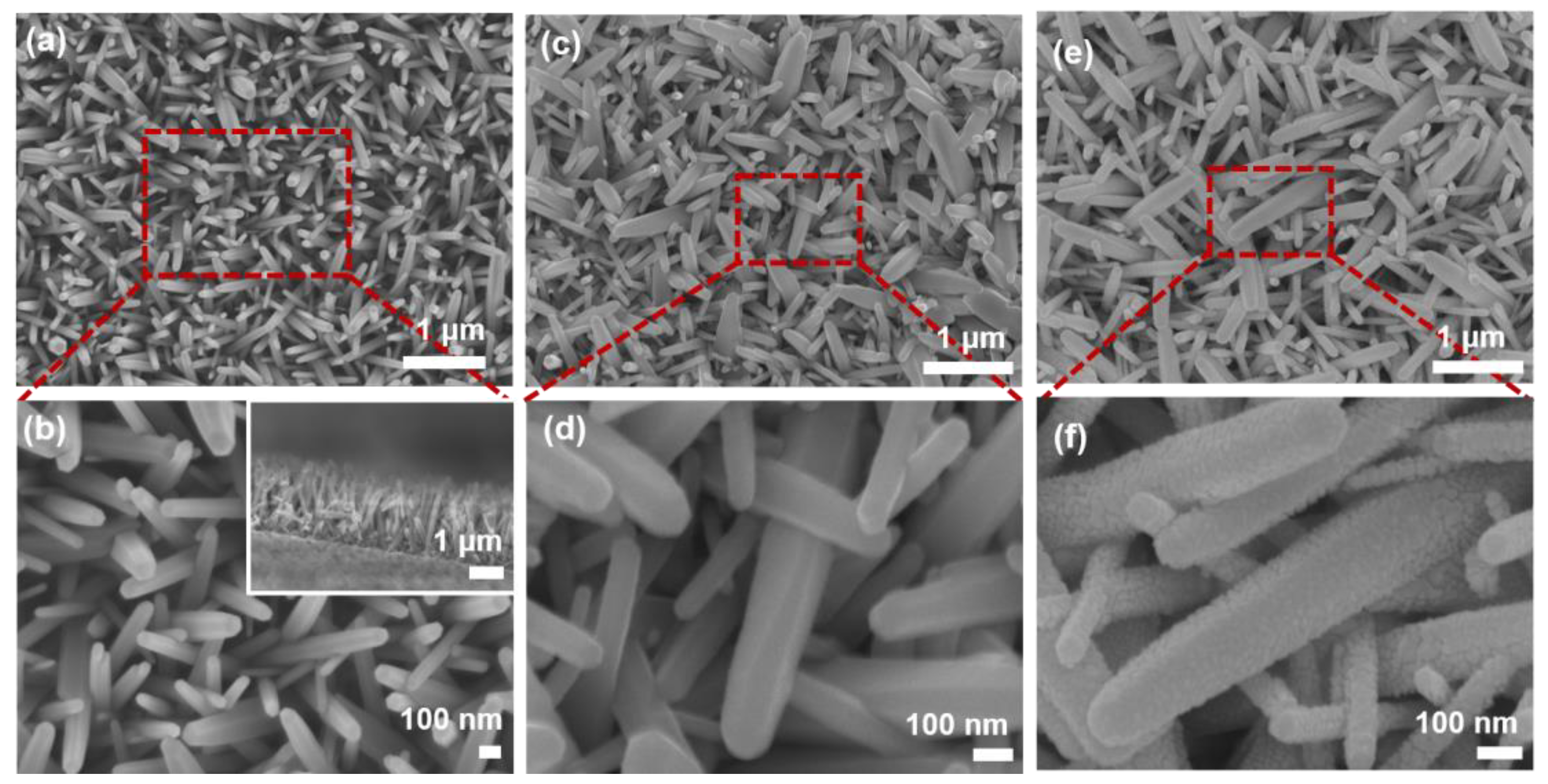 Catalysts 11 00911 g002
